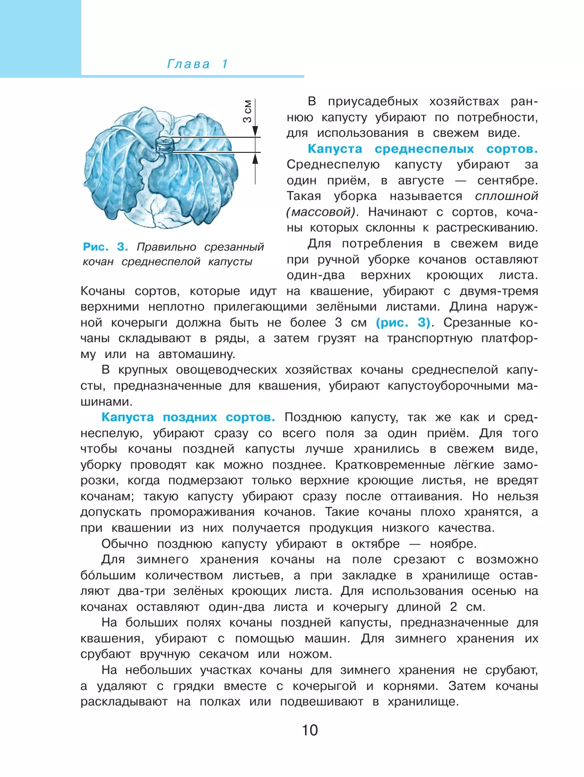 Технология. Сельскохозяйственный труд. 8 класс. Учебник (для обучающихся с интеллектуальными нарушениями) 2