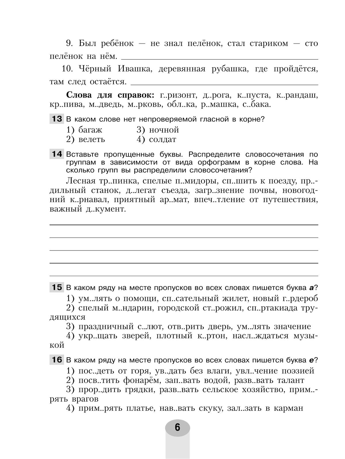 Русский язык. Самостоятельные и контрольные работы. 5 класс 10