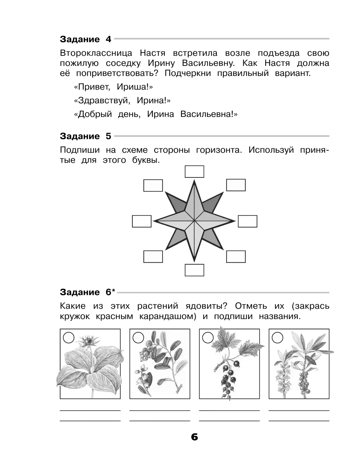 Окружающий мир. Проверочные работы. 3 класс 3