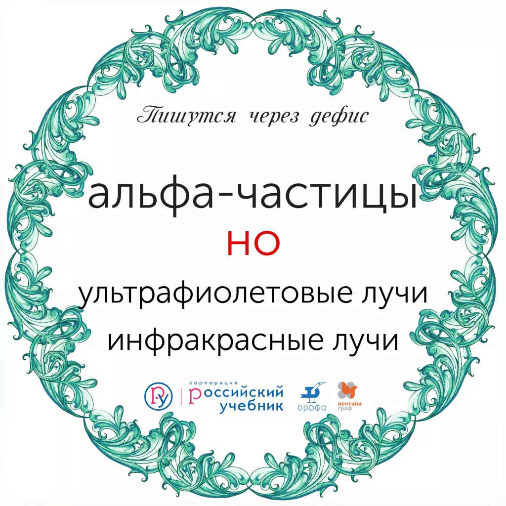 Правописание сложных существительных: набор карточек — Группа компаний  «Просвещение»