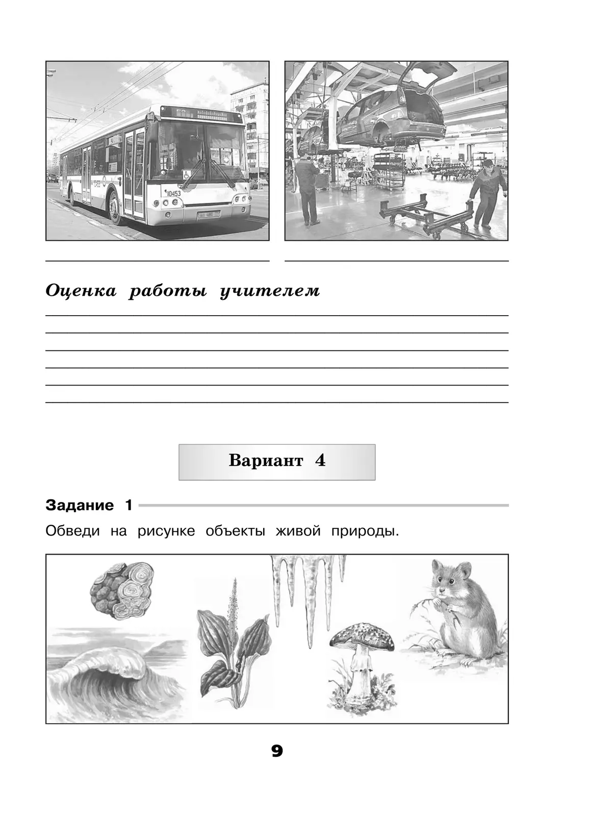 Окружающий мир. Проверочные работы. 3 класс 6