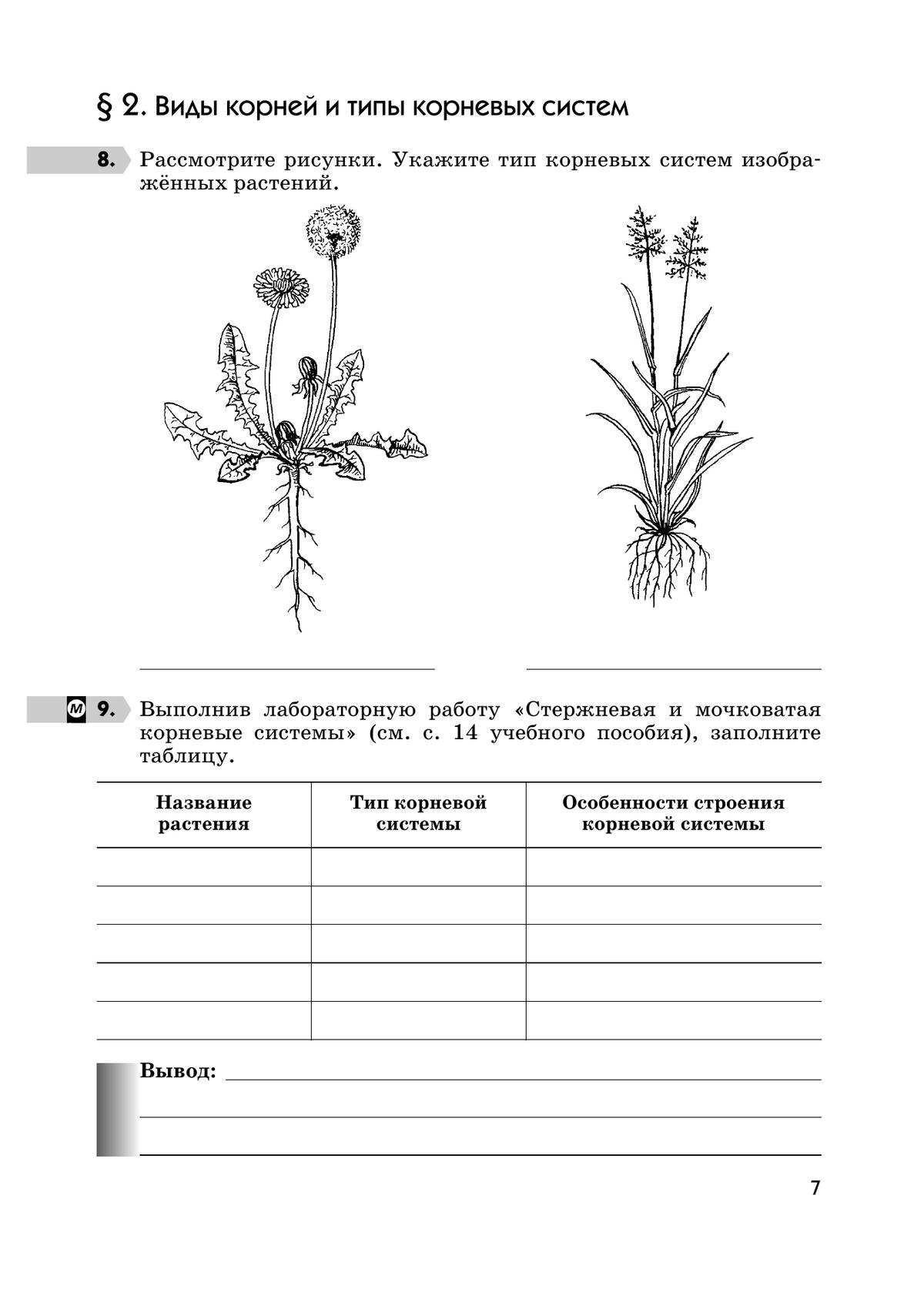 Биология. 6 класс. Многообразие покрытосеменных растений. Рабочая тетрадь с тестовыми заданиями ЕГЭ 8