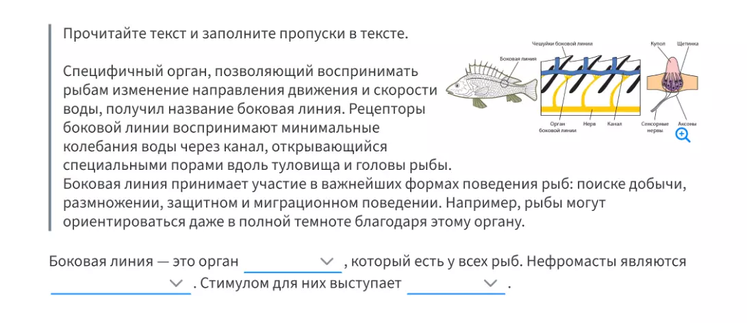 А так представлены учебные задания с автоматической проверкой.