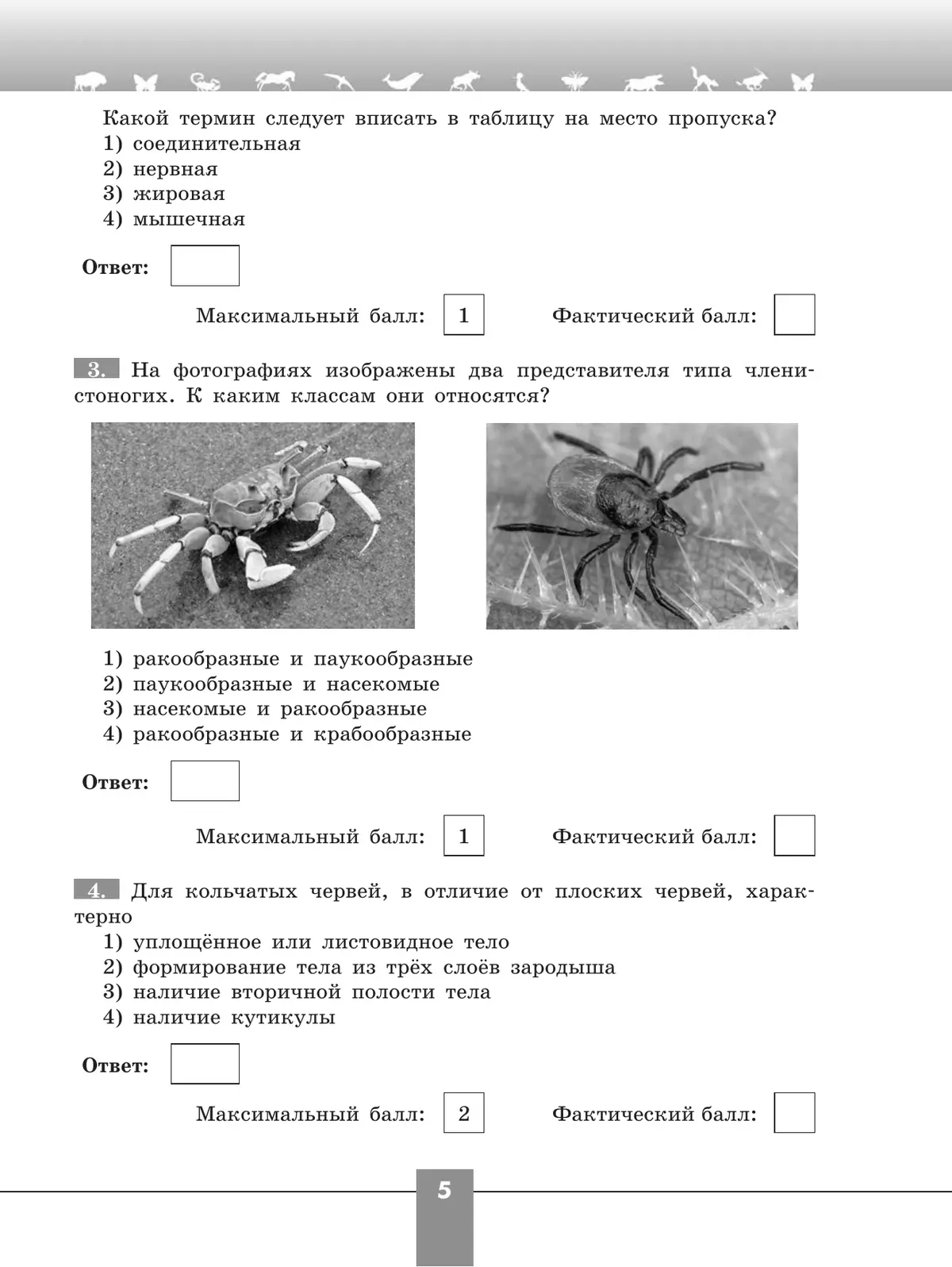 ВСЕРОССИЙСКИЕ ПРОВЕРОЧНЫЕ РАБОТЫ (ВПР) - 2024