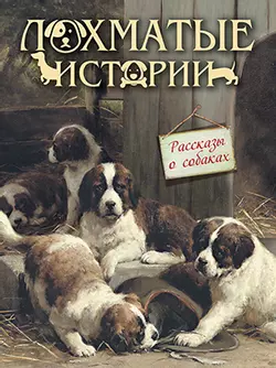 Лохматые истории. Рассказы о собаках