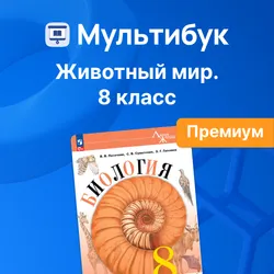 Животный мир. 8 класс (Мультибук, учитель, премиум)