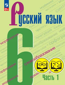 Русский язык. 6 класс. В 2 частях. Часть 1 (для обучающихся с нарушением зрения)