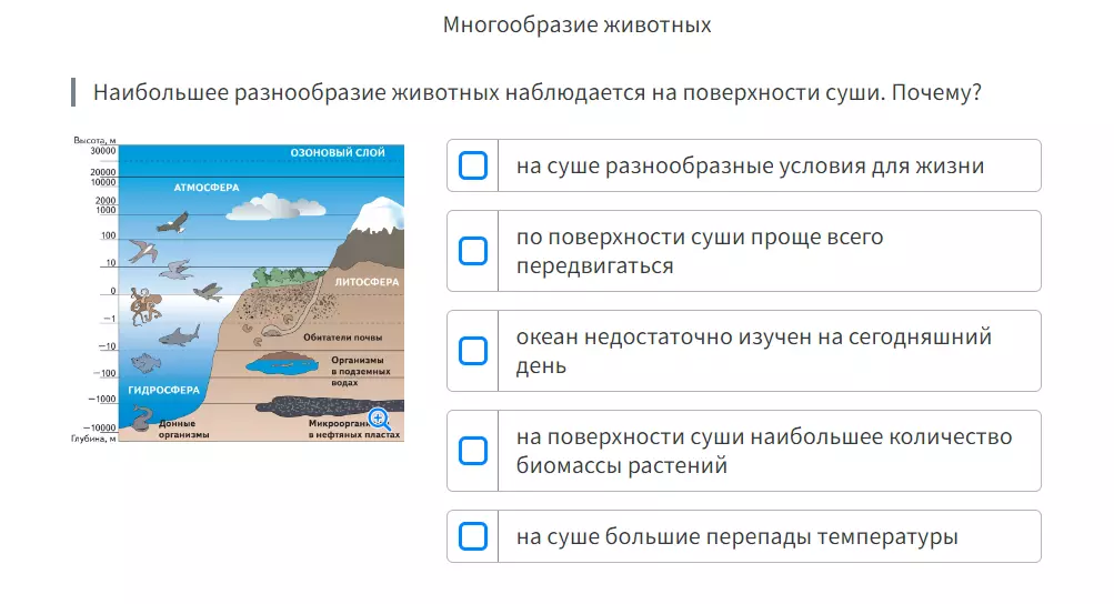 Банк практических заданий