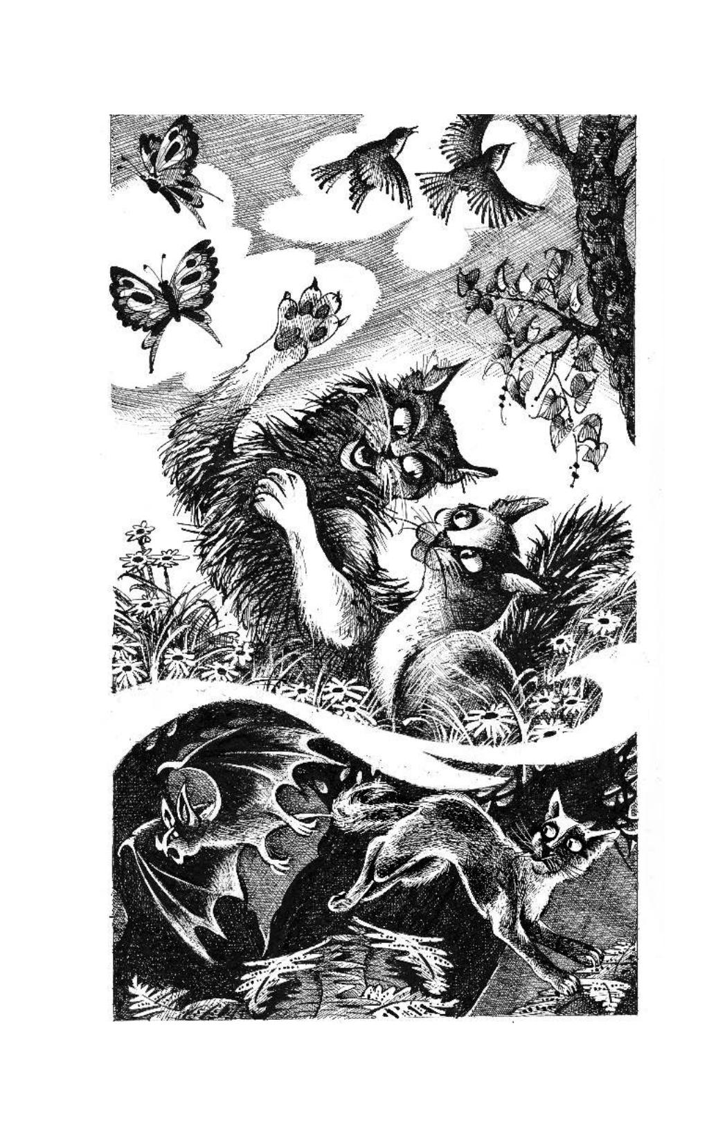 Абрис книги. Нерассказанные истории сердце Пестролистой. Коты Воители Нерассказанные истории. Сборник «Нерассказанные истории. Сердце Пестролистой». Коты Воители сборники Нерассказанные истории.