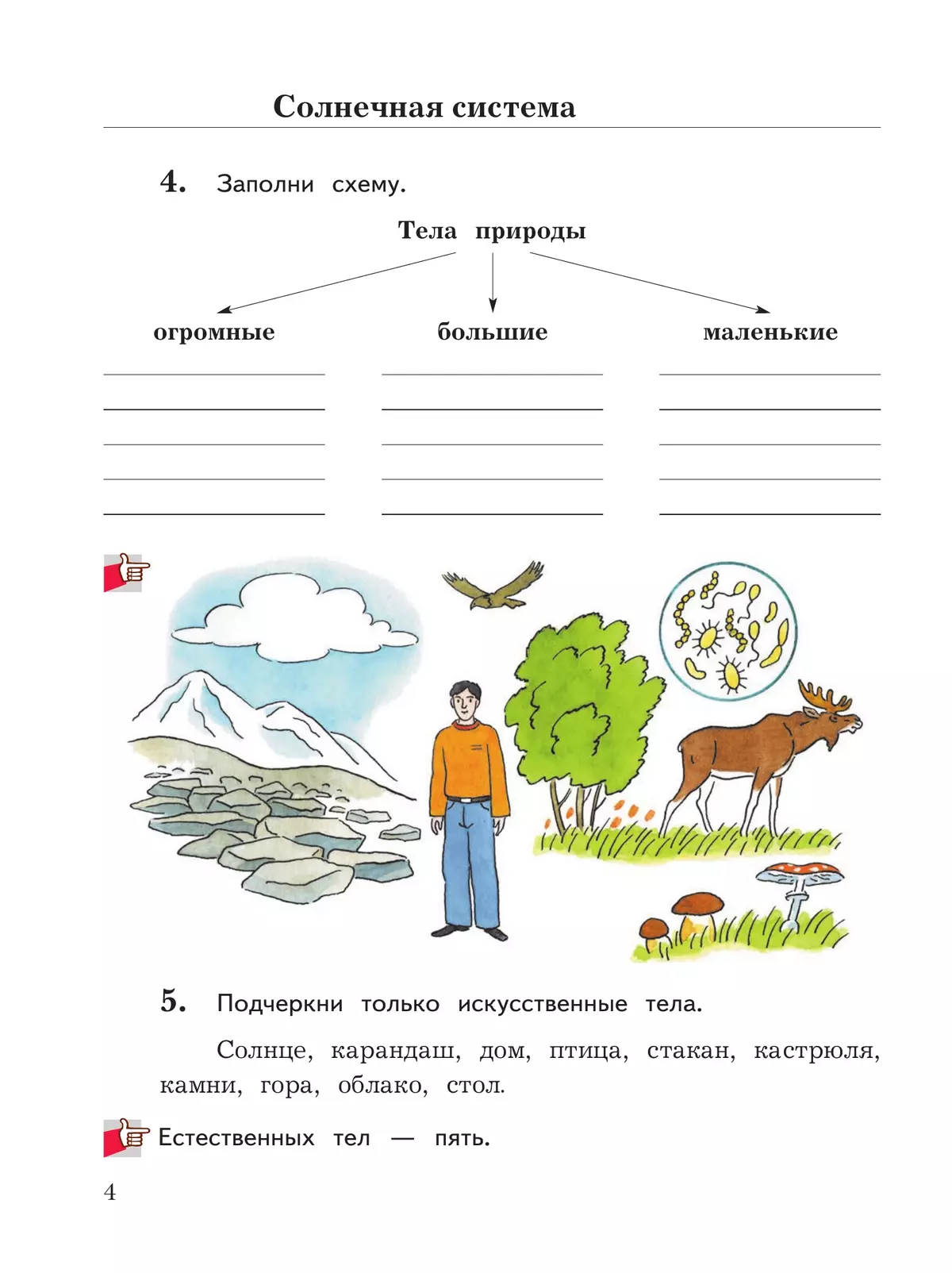 Окружающий мир. 3 класс. Рабочая тетрадь. В 2 частях. Часть 1 5