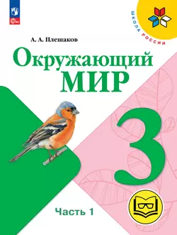 Окружающий мир. 3 класс. Учебное пособие. В 4 ч. Часть 1 (для слабовидящих обучающихся)