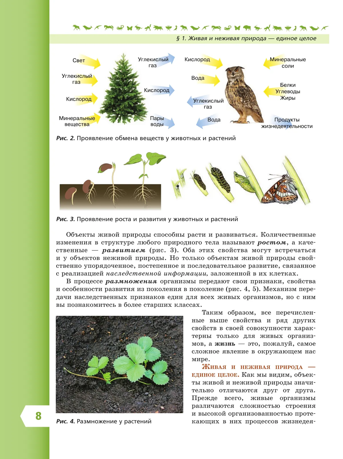 Биология. 5 класс купить на сайте группы компаний «Просвещение»