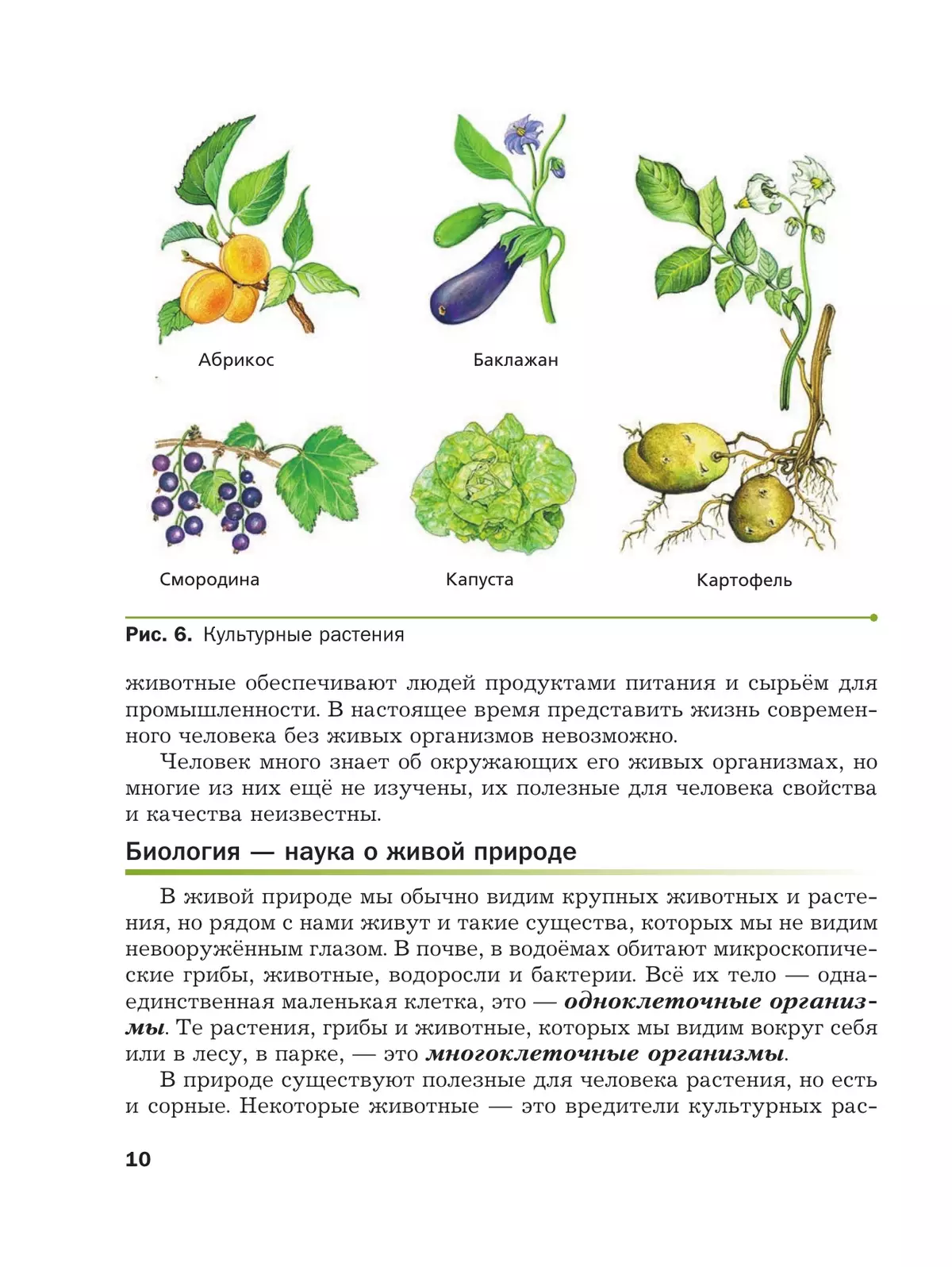 Пономарева ботаника