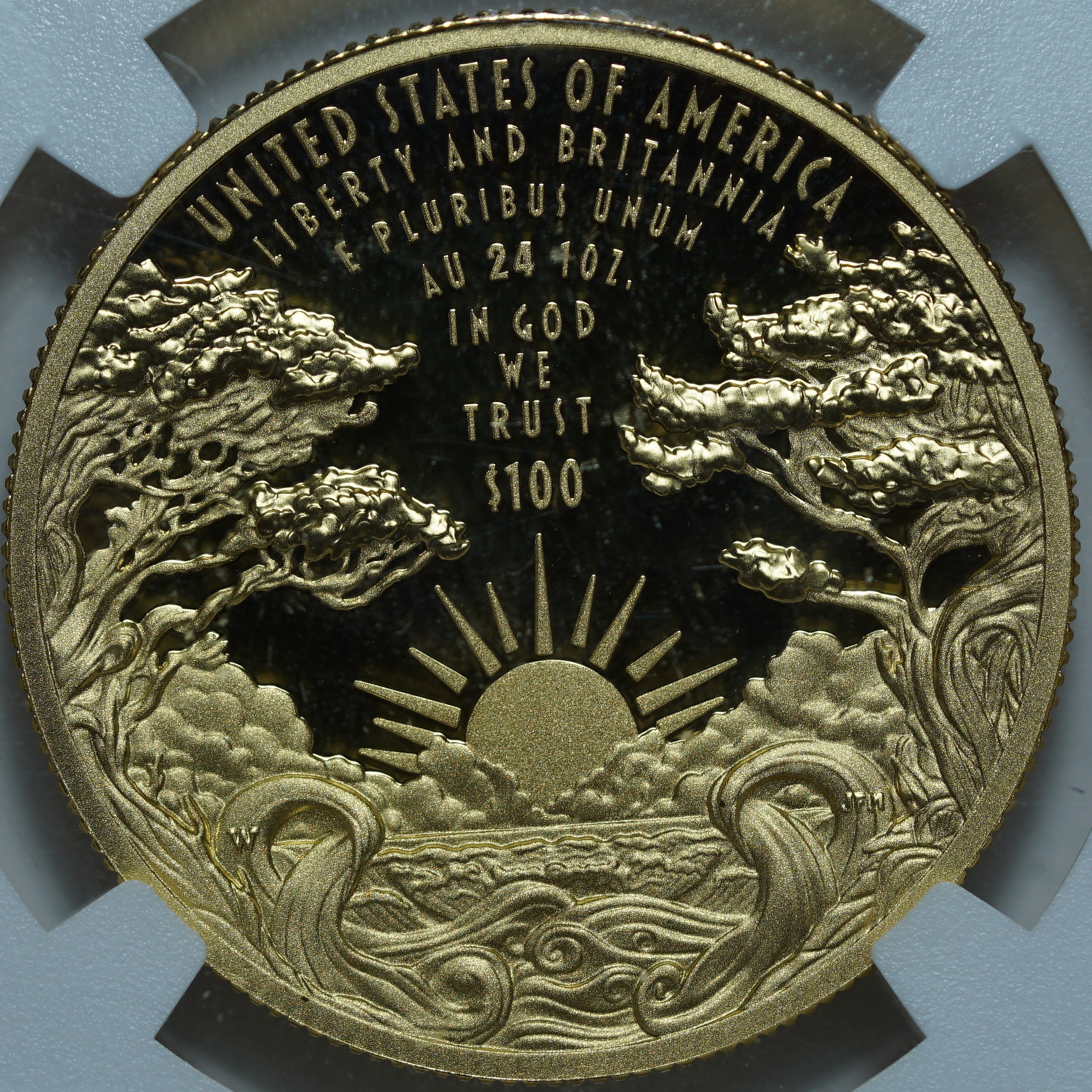 100 долларов 2024-W PF70 ULTRA CAMEO NGC