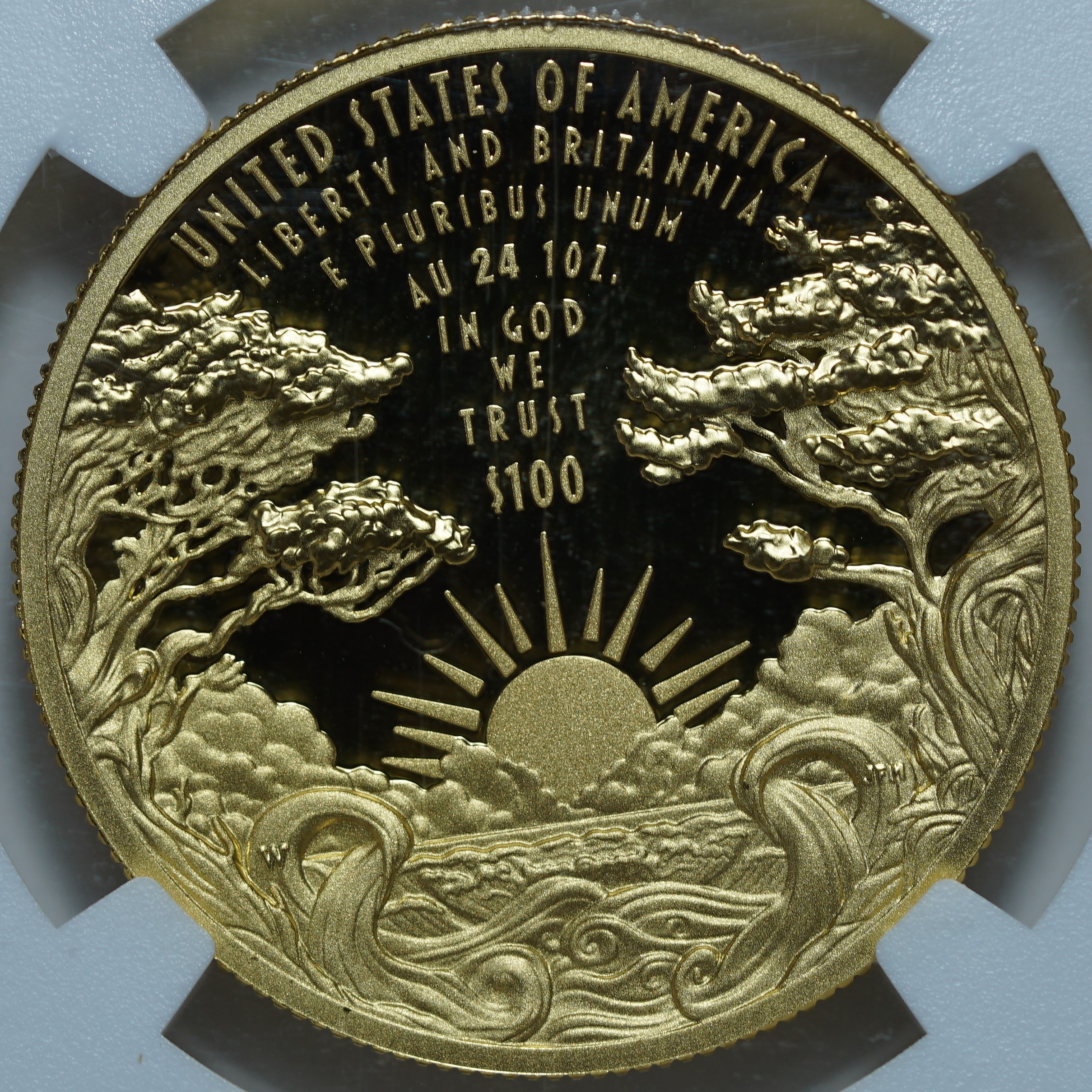 100 долларов 2024-W PF70 ULTRA CAMEO NGC