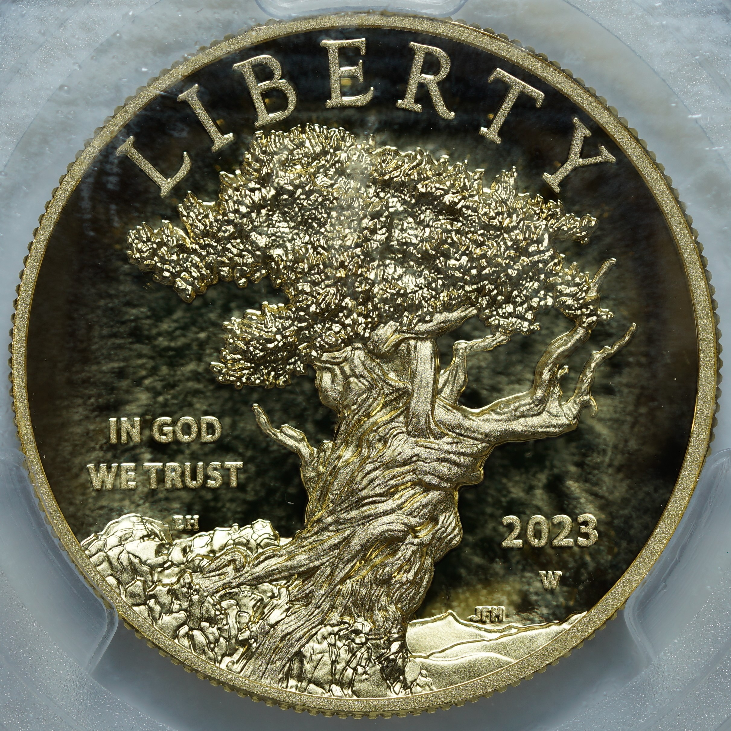100 долларов 2023-W PF70 DEEP CAMEO PCGS
