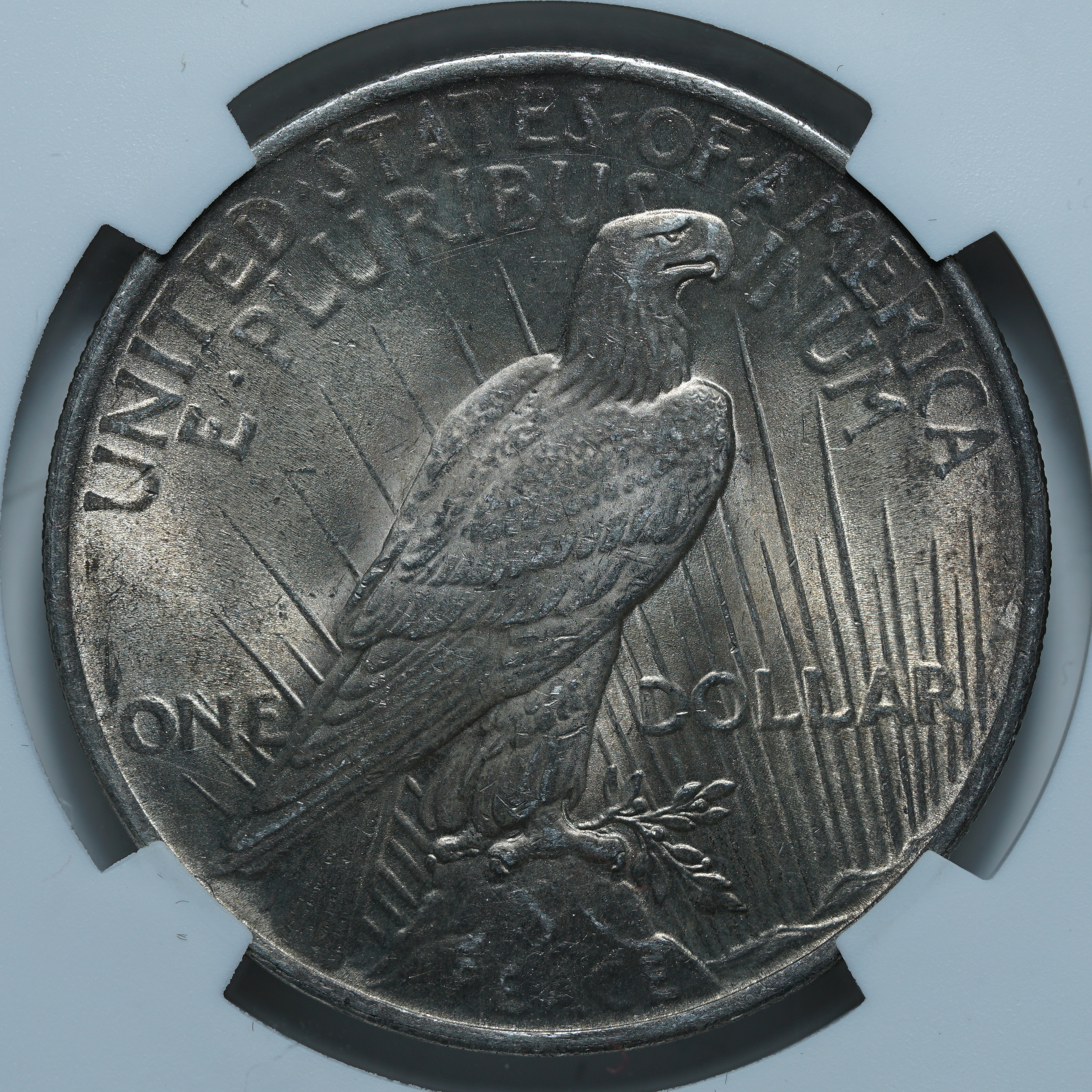 1 доллар 1922 MS63 NCG