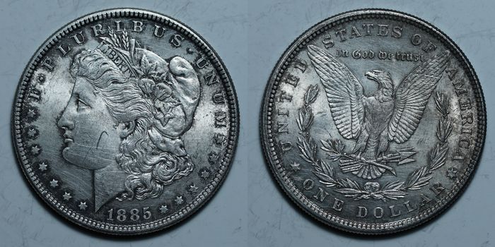1 доллар 1885