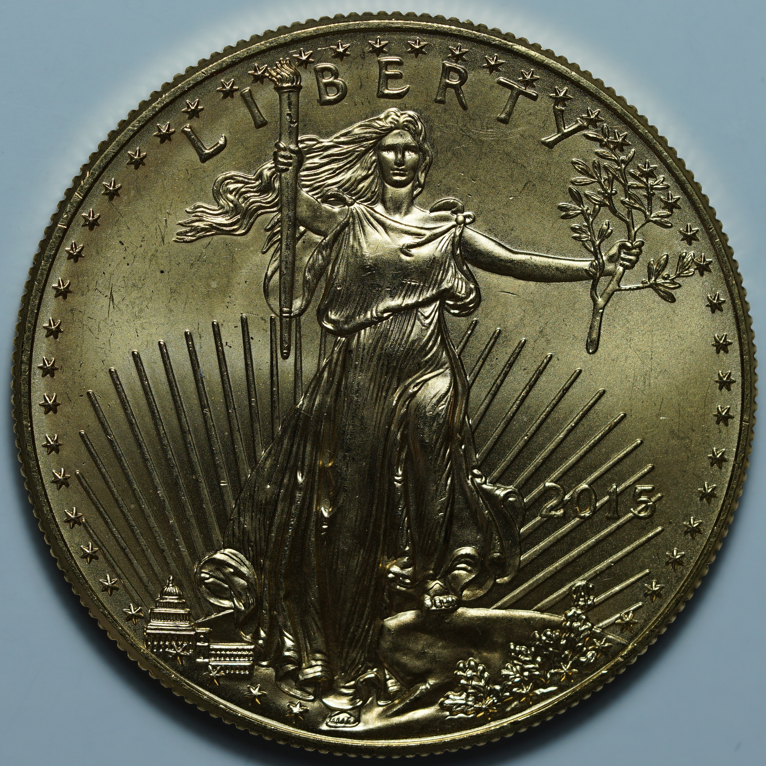 50 долларов 2015. США. Семейство орлов