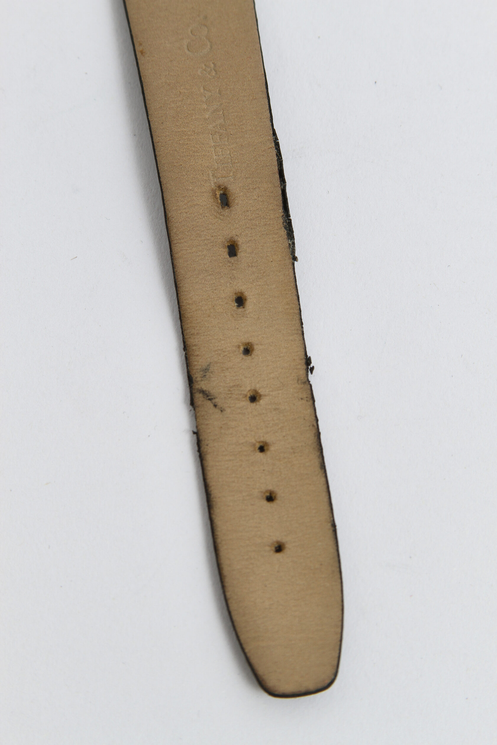 Tiffany & Co. Atlas Watch 6