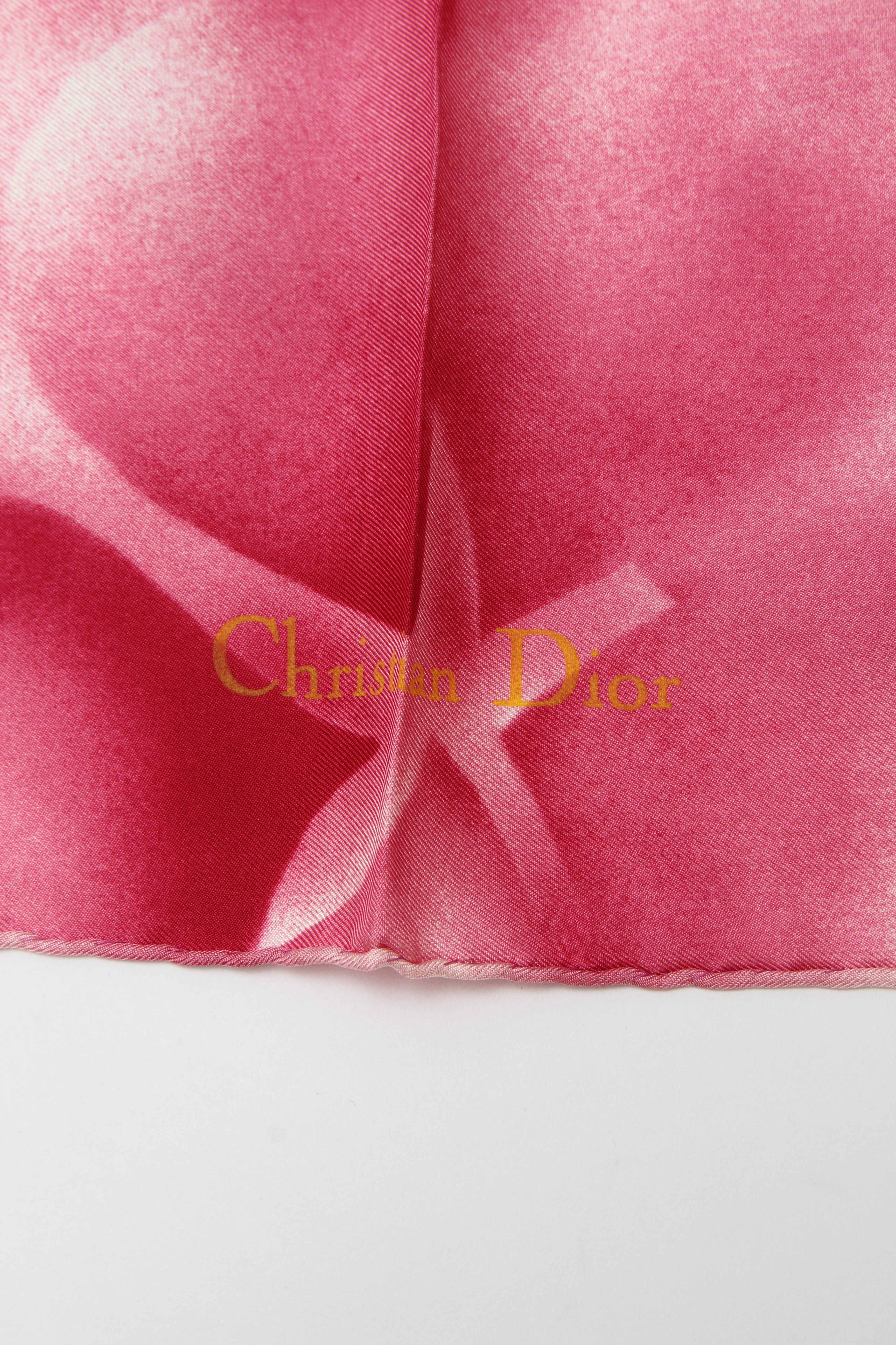 Christian Dior Scarf 1