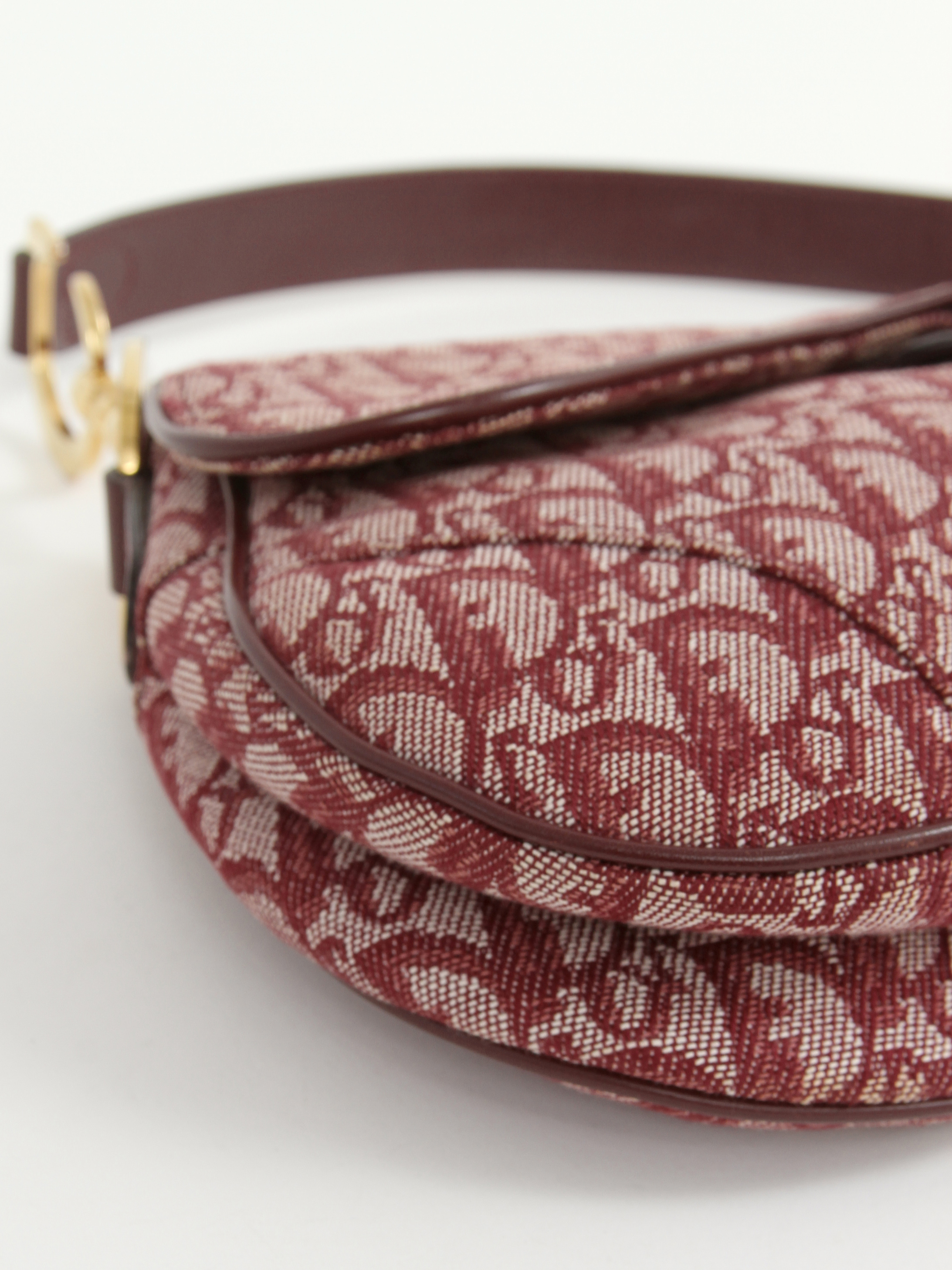 Christian Dior Saddle 4