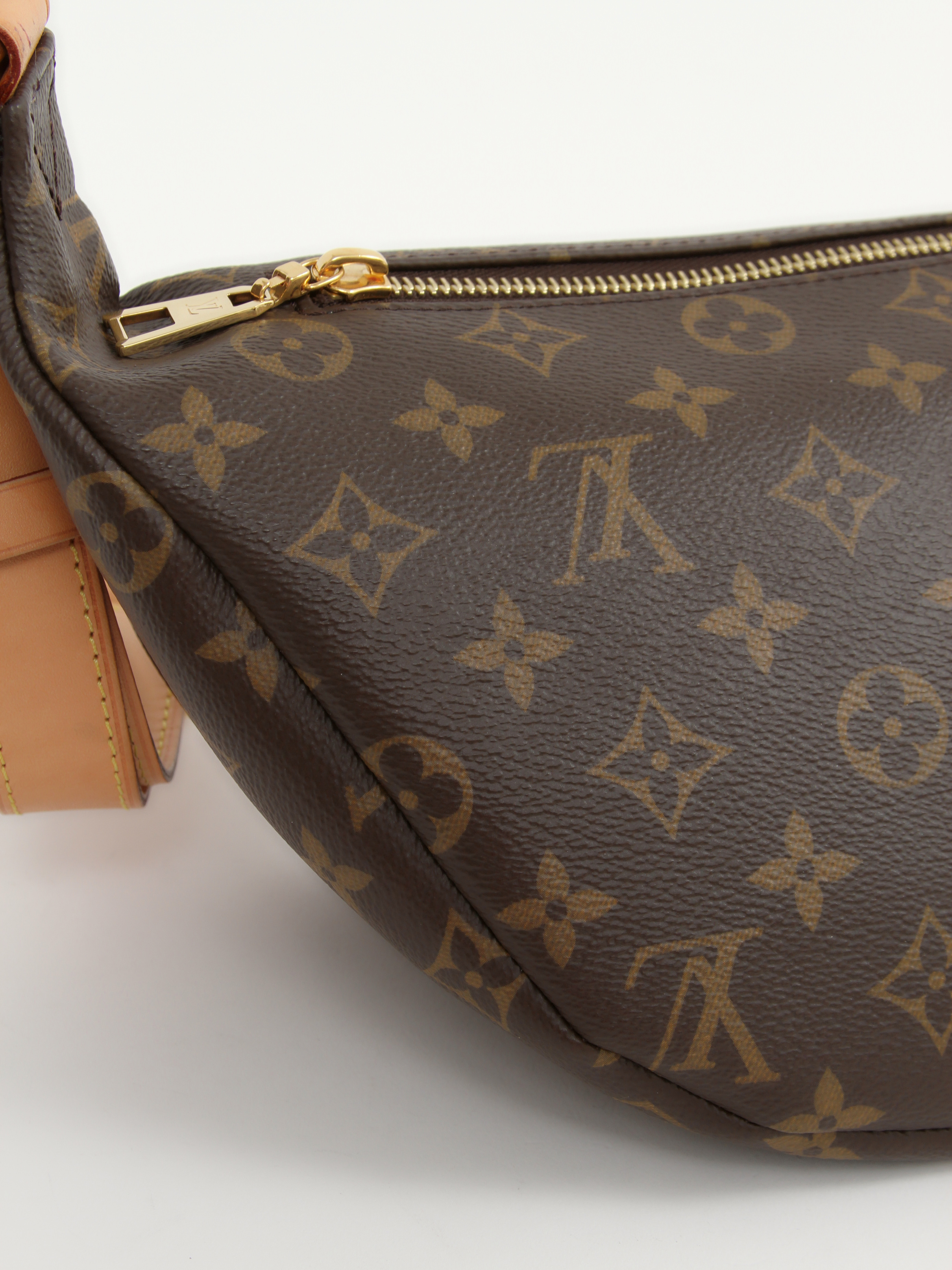 Louis Vuitton Bumbag 6