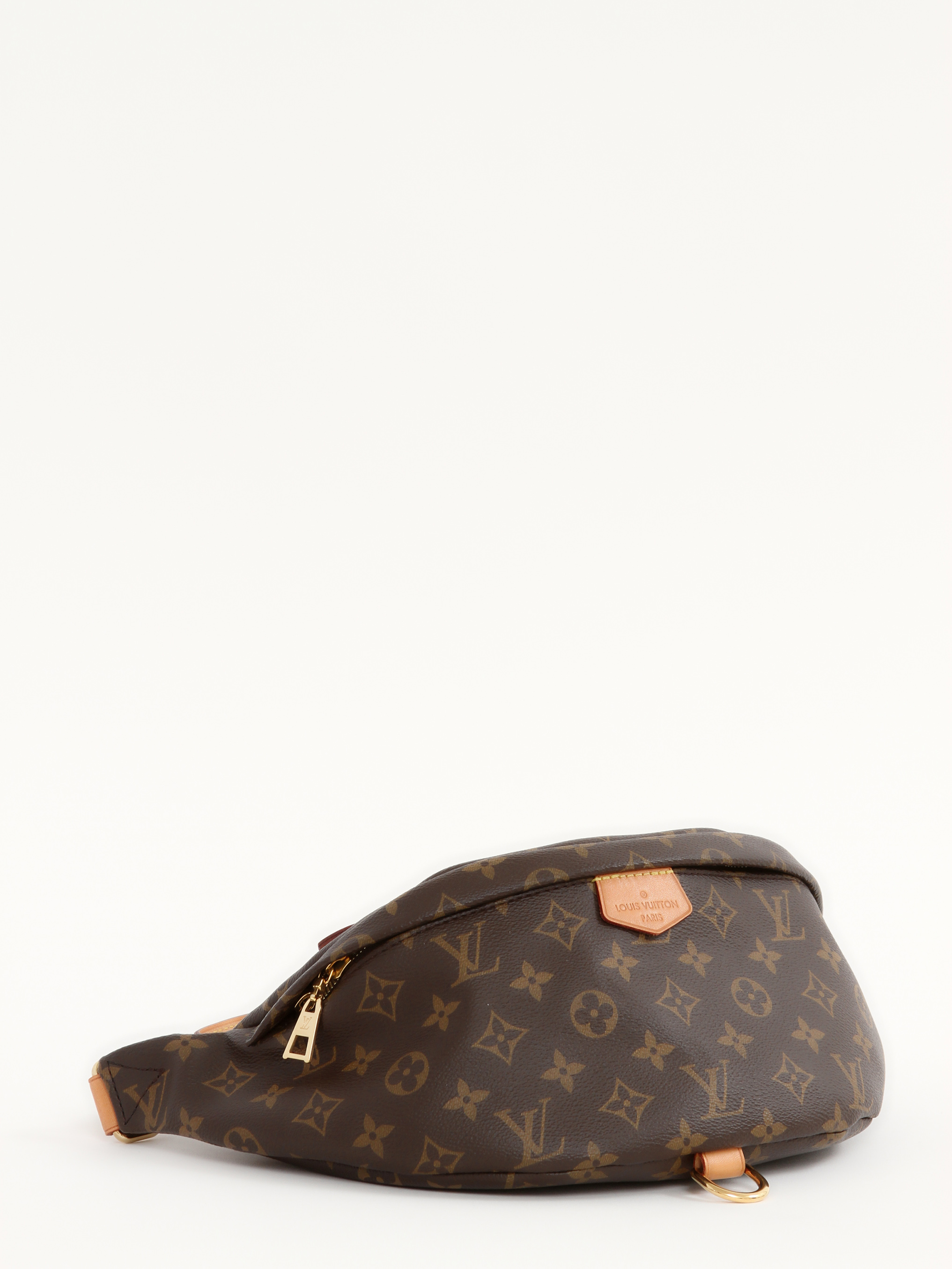 Louis Vuitton Bumbag 1