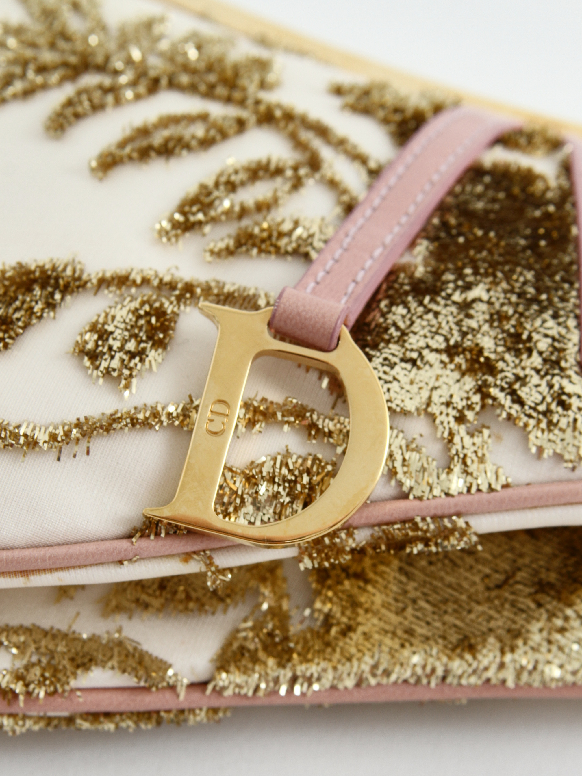 Christian Dior Saddle 7