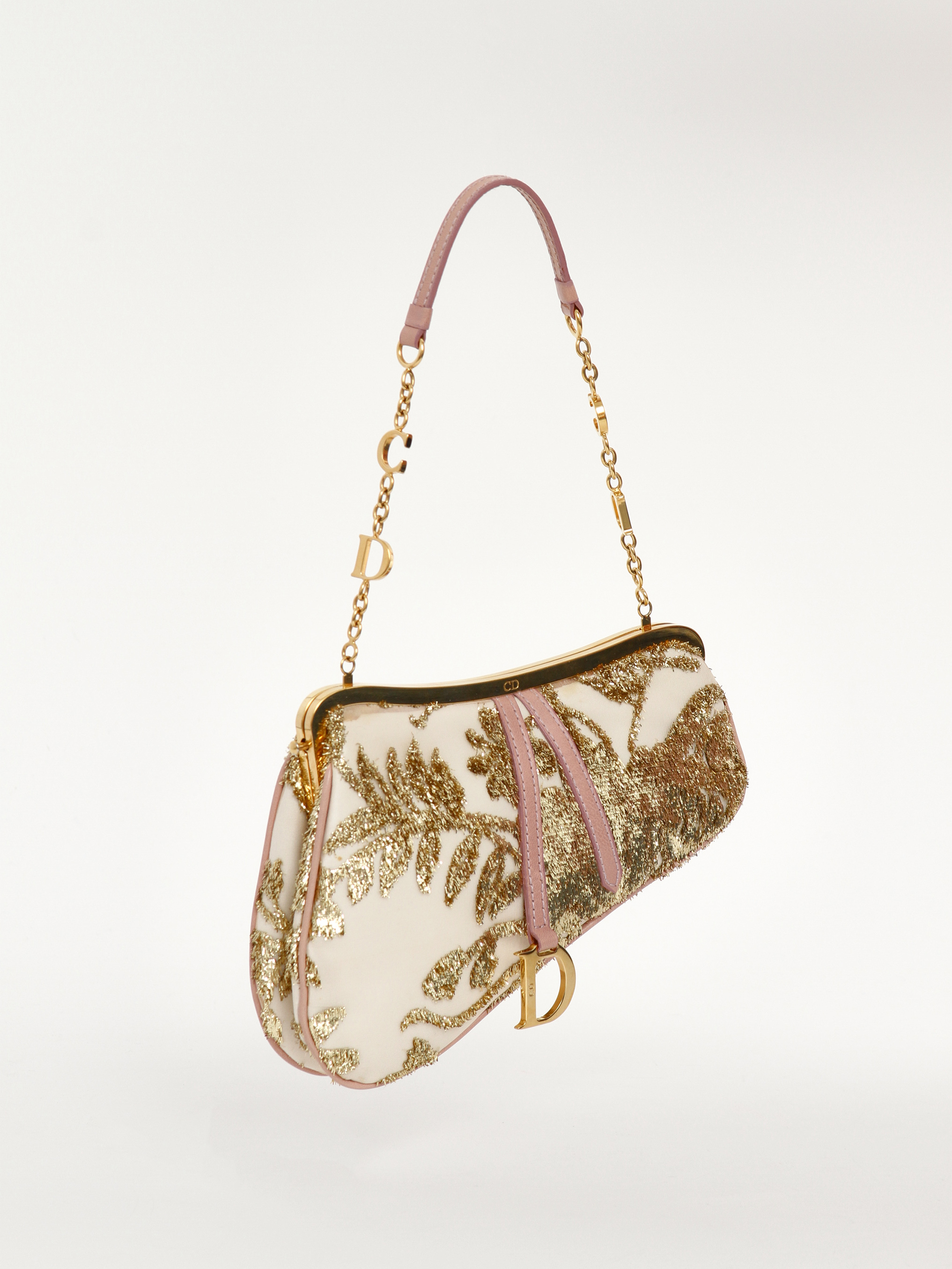 Christian Dior Saddle 1