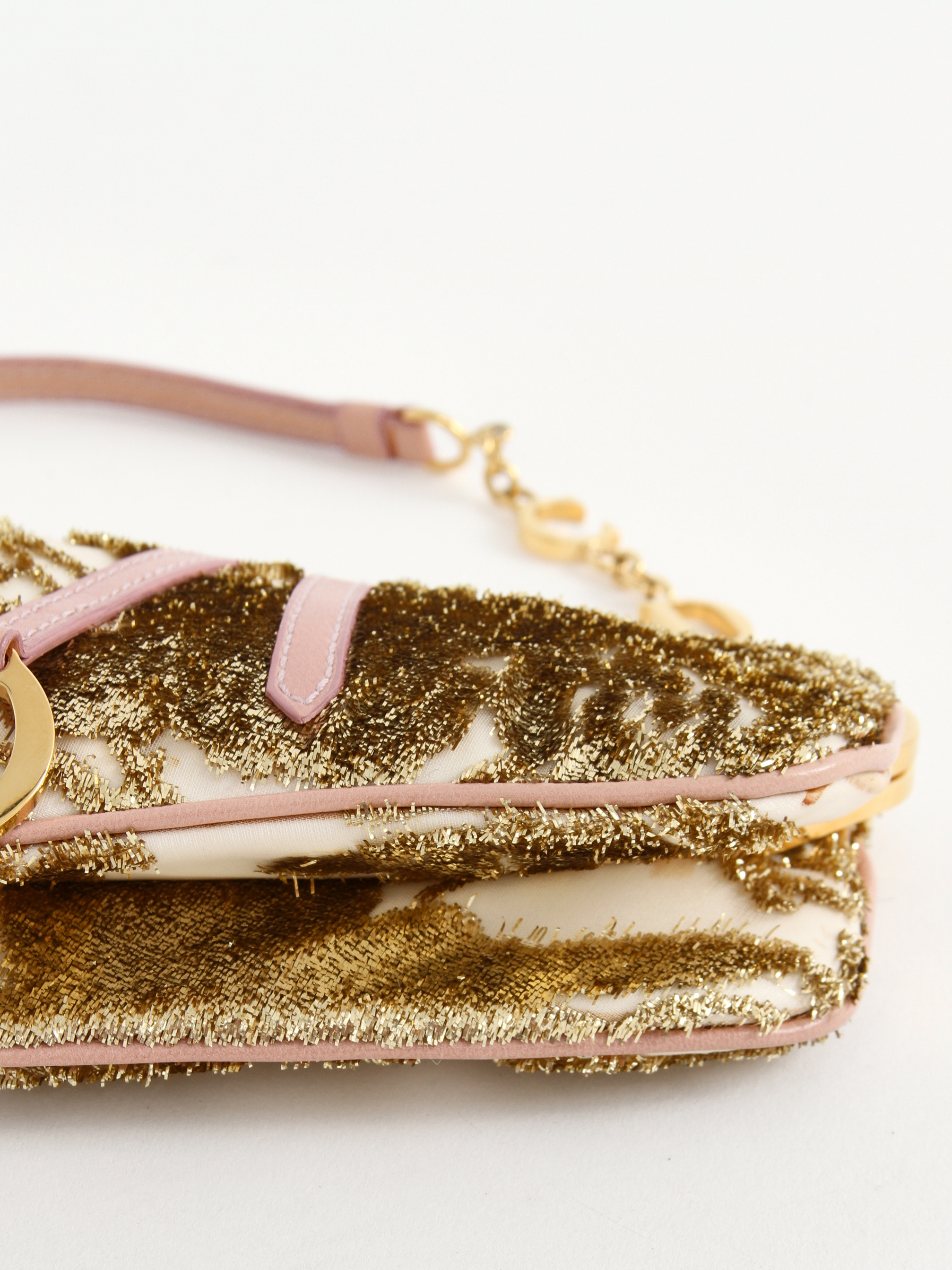 Christian Dior Saddle 6