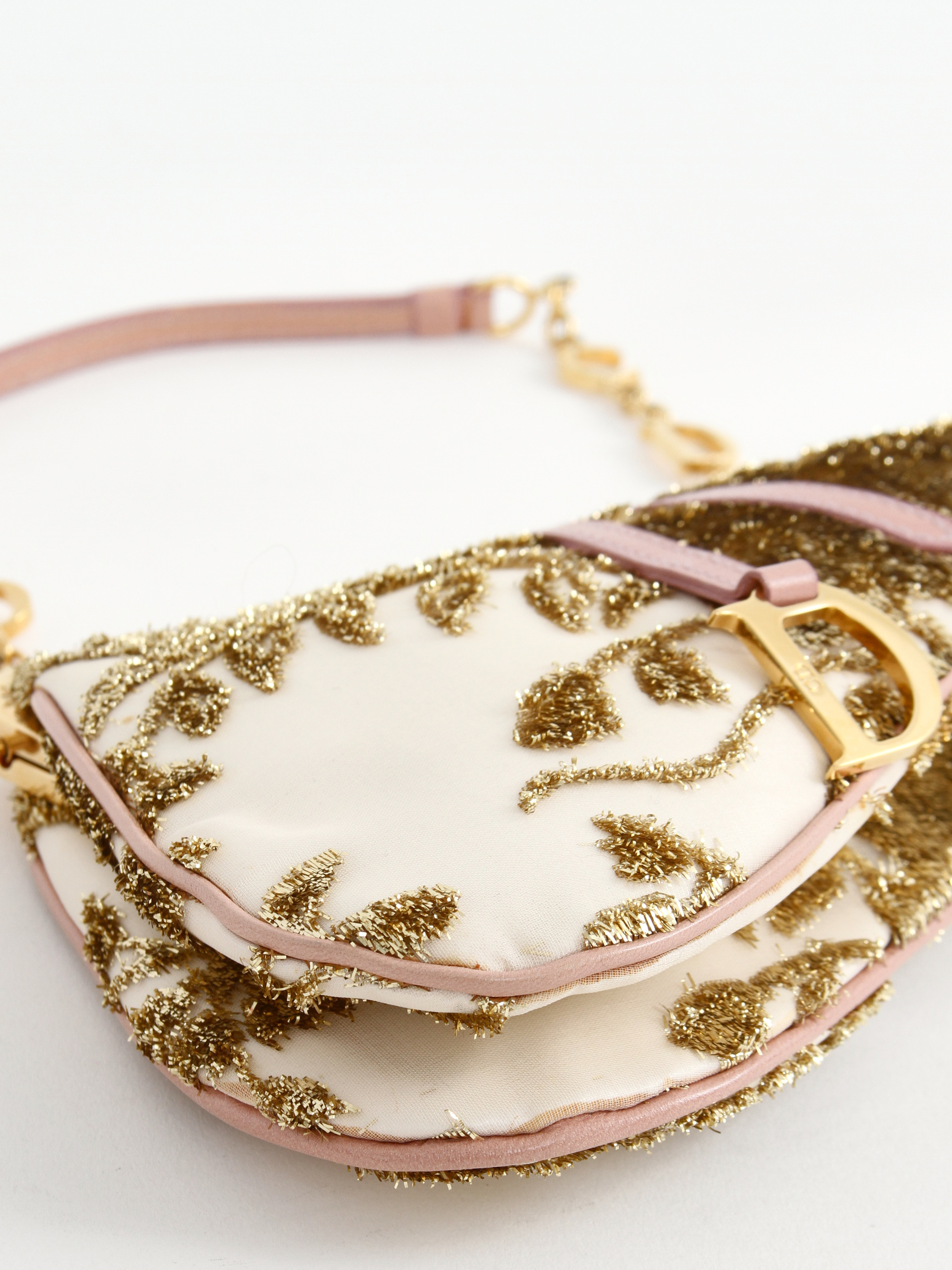 Christian Dior Saddle 5