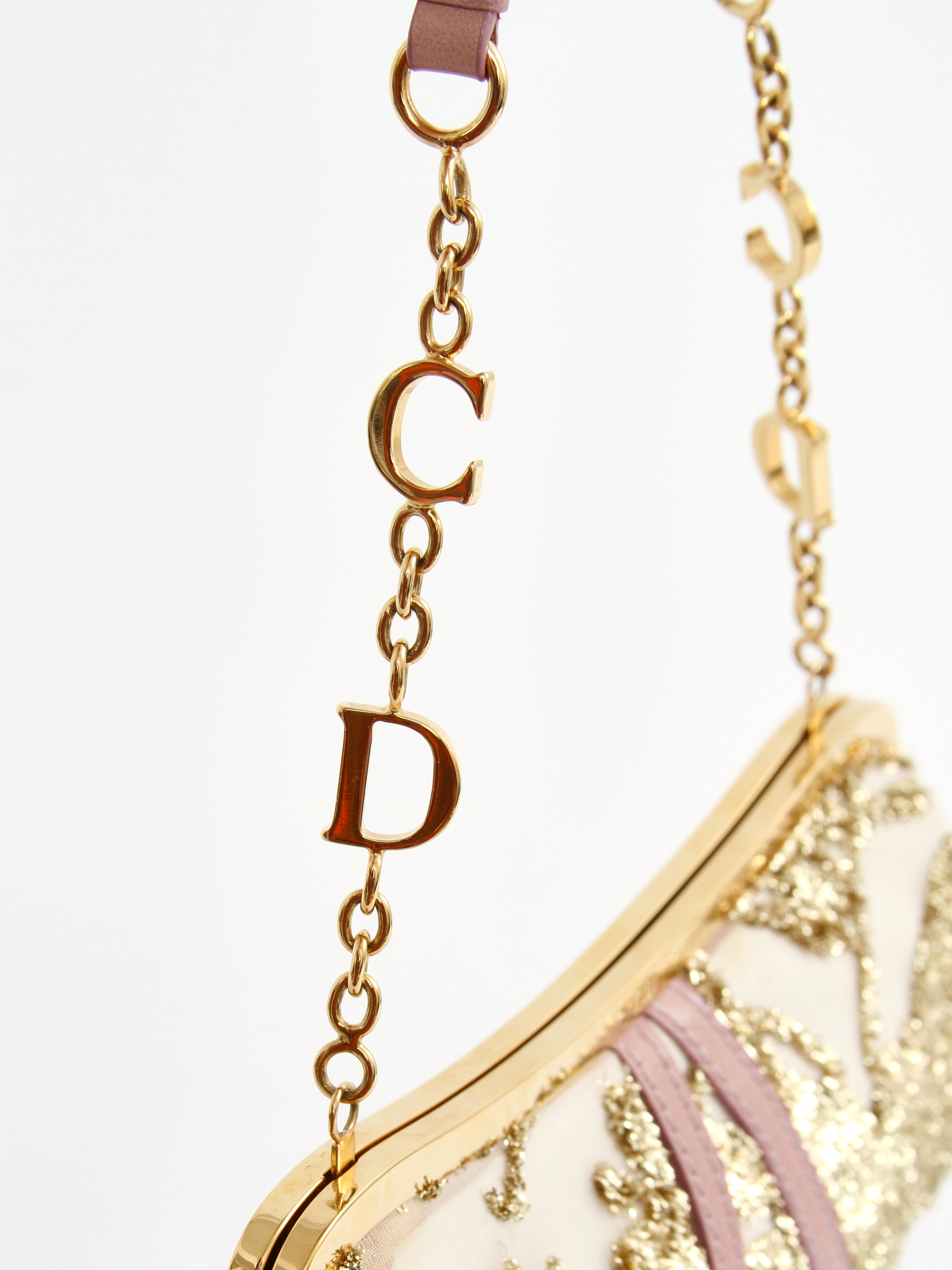 Christian Dior Saddle 4