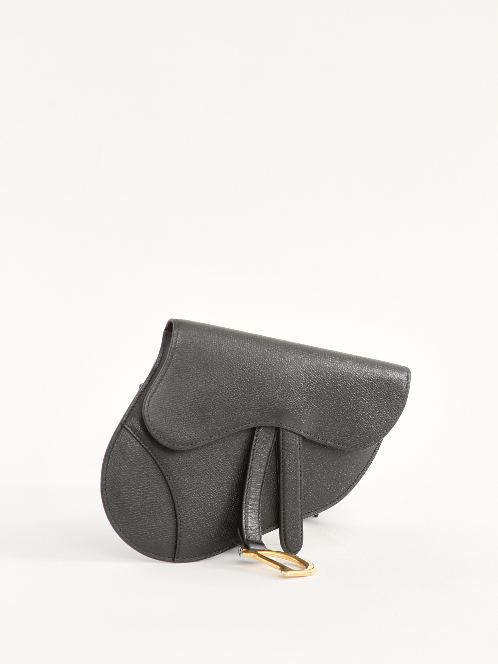 Christian Dior Saddle 1