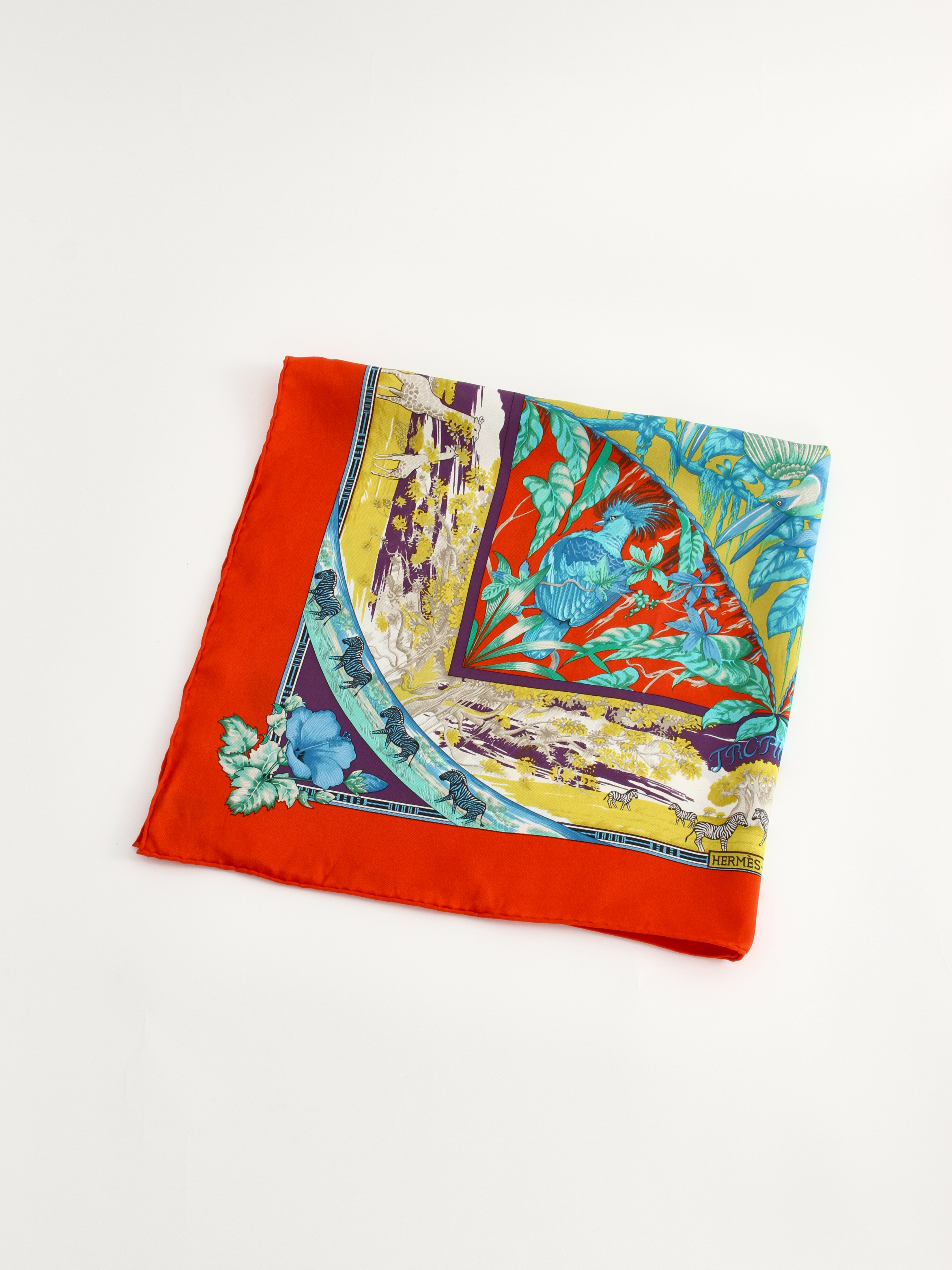 Hermes Scarf