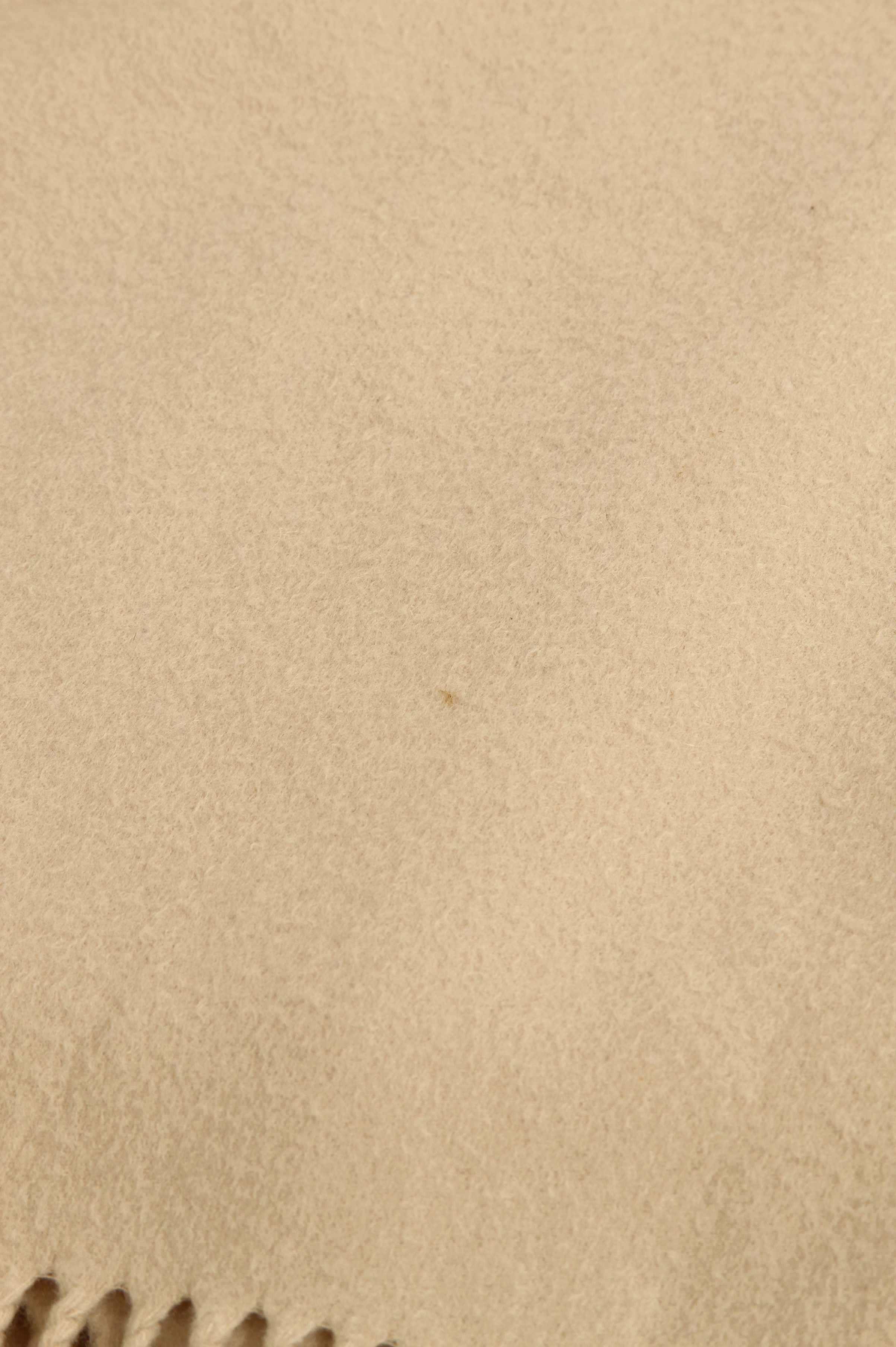 Loro Piana Scarf 3