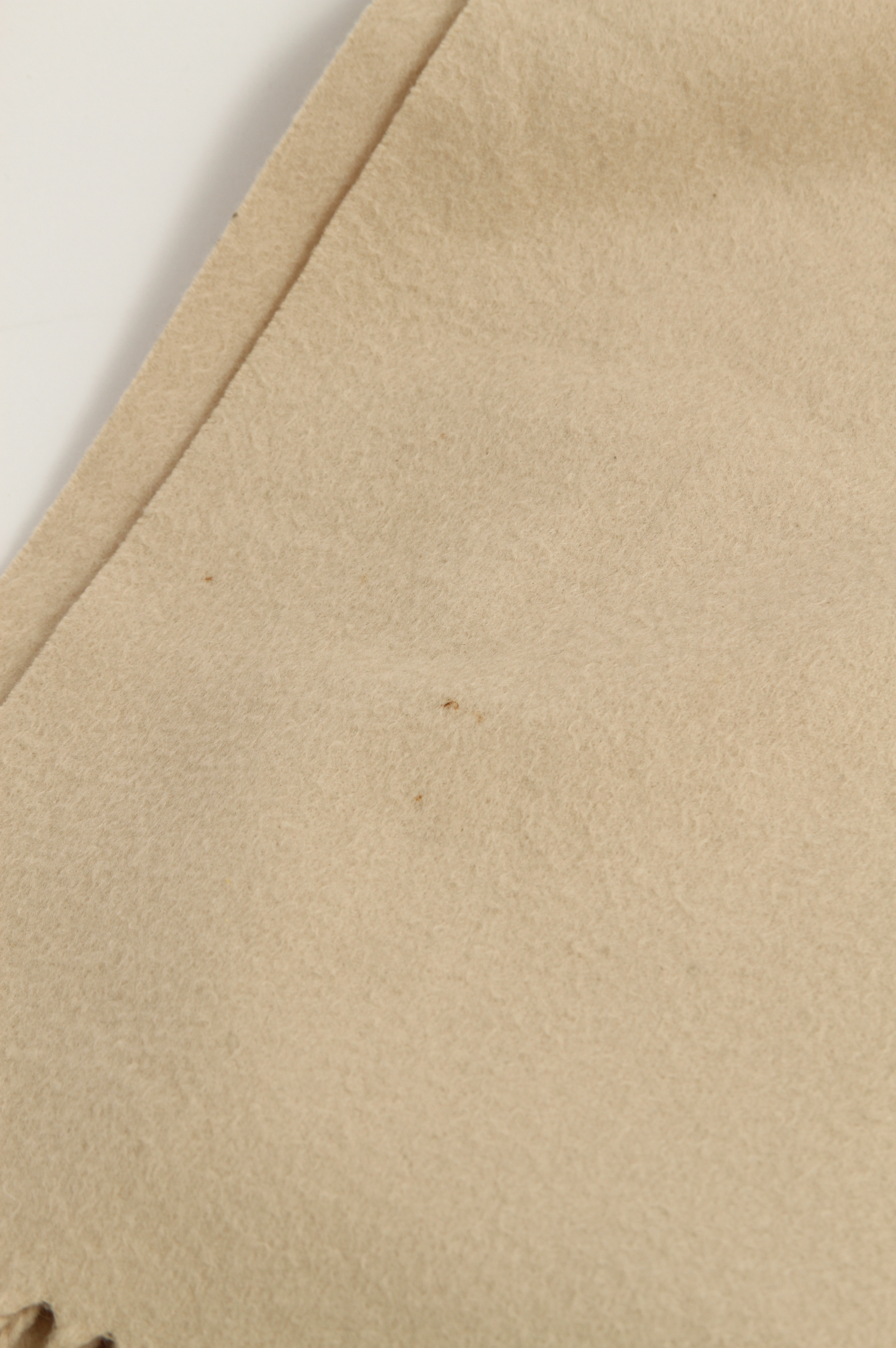 Loro Piana Scarf 2