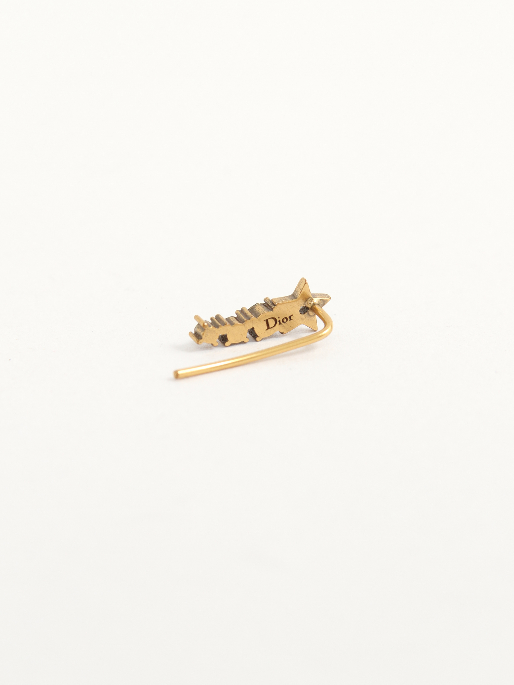 Christian Dior Earrings 2