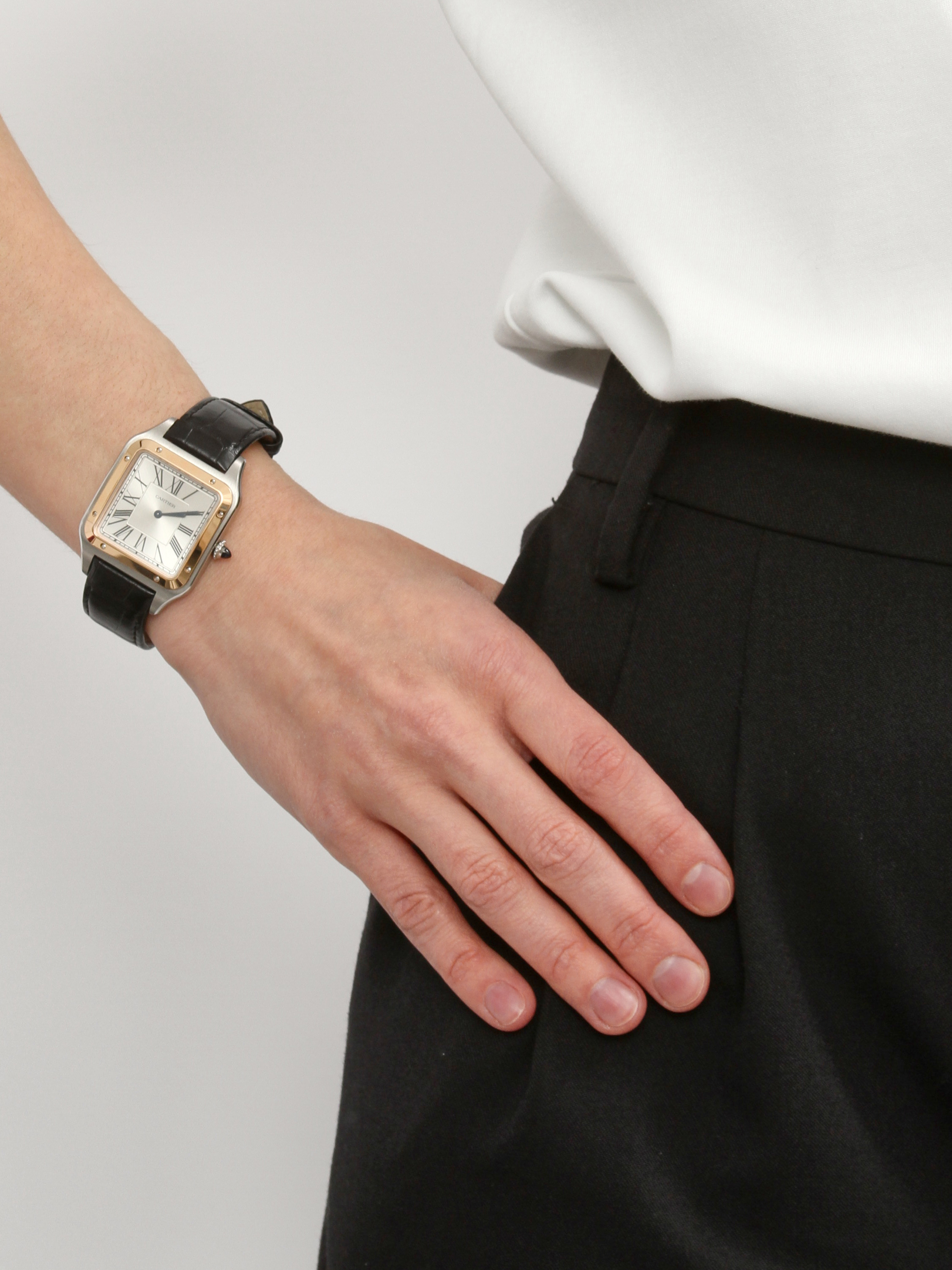 Cartier Santos-Dumont Large 6