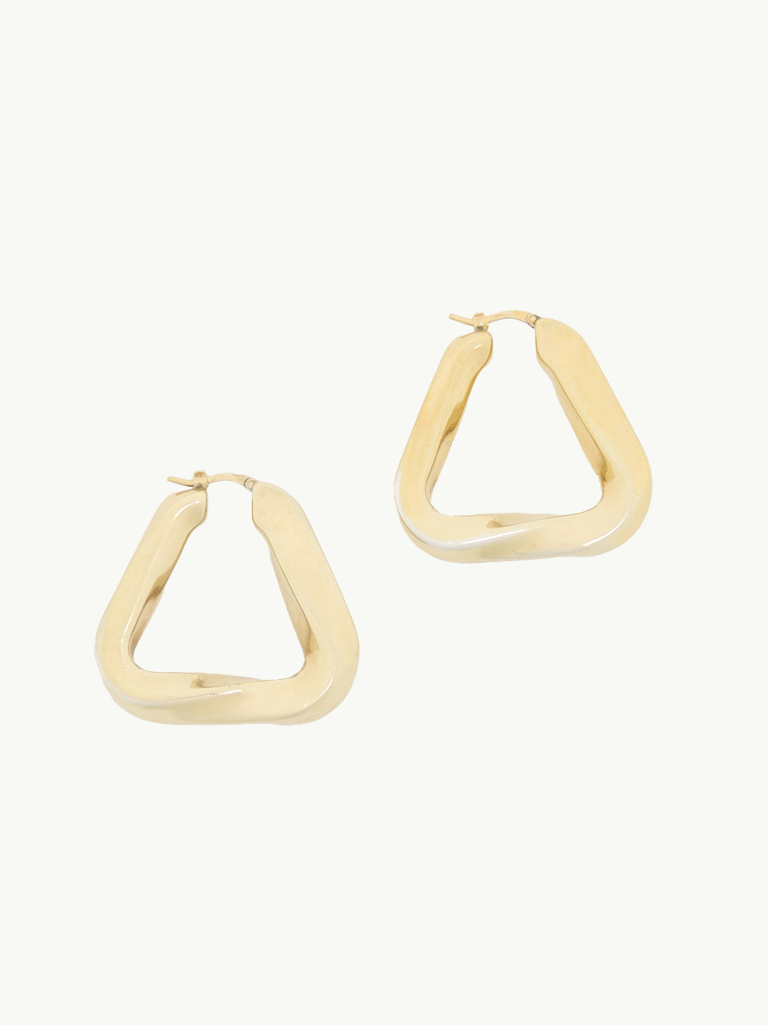 Bottega Veneta Earrings 