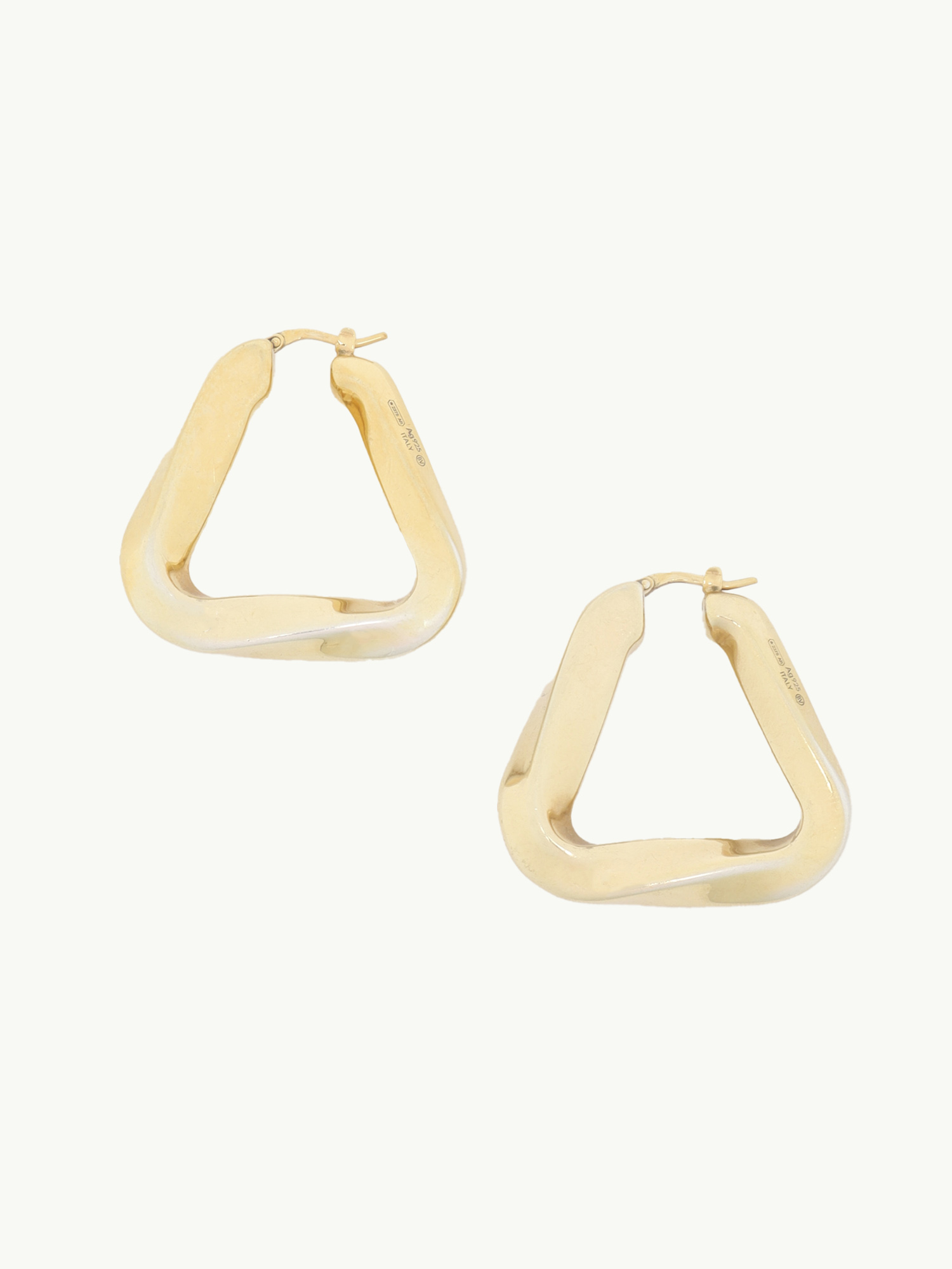 Bottega Veneta Earrings 2