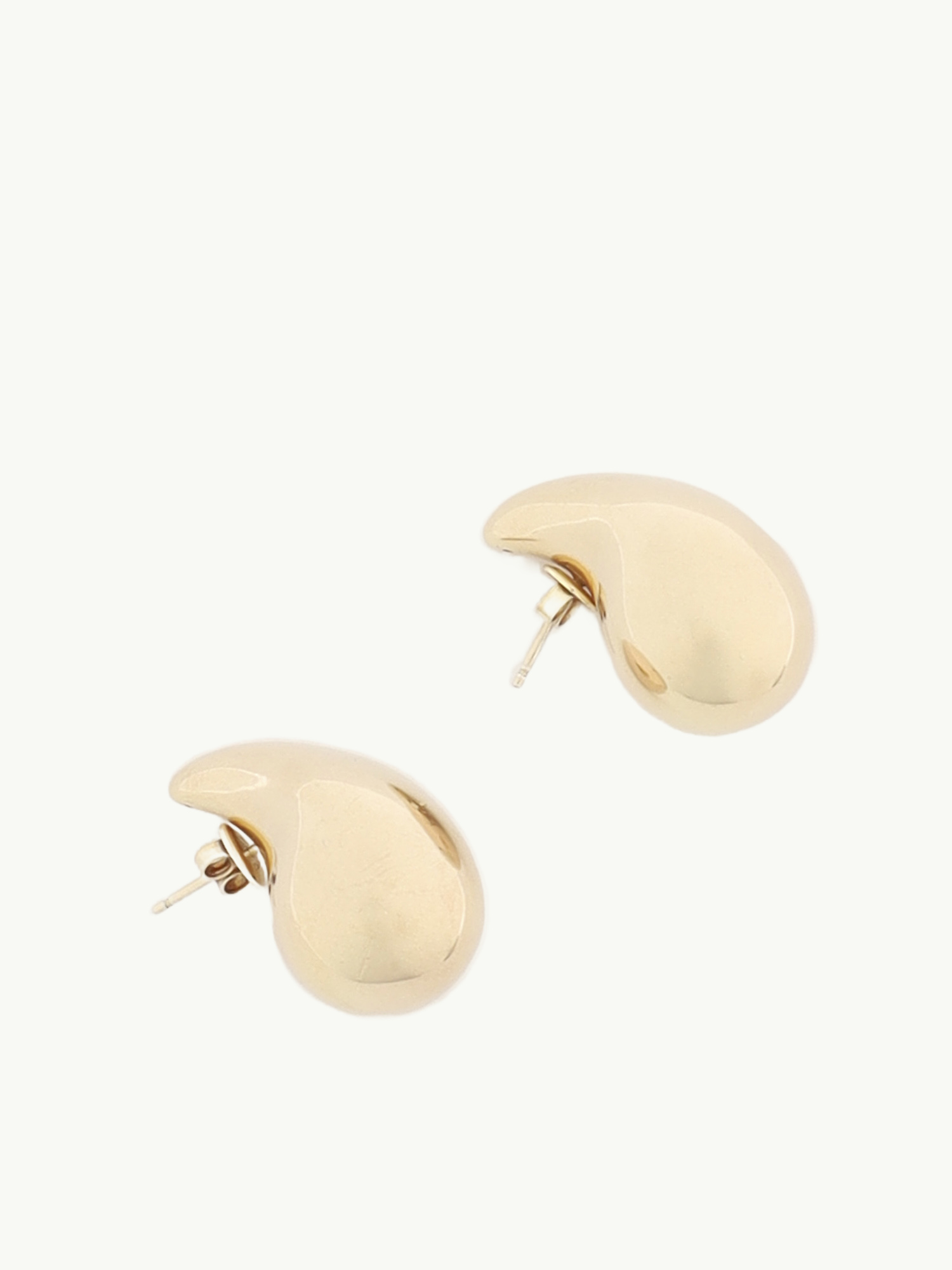 Bottega Veneta Earrings 2