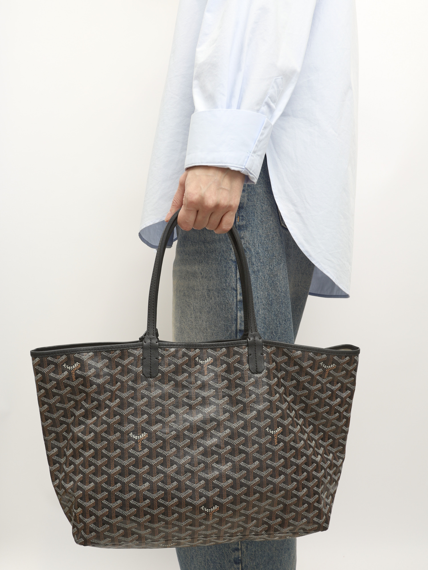 Goyard Saint Louis 1