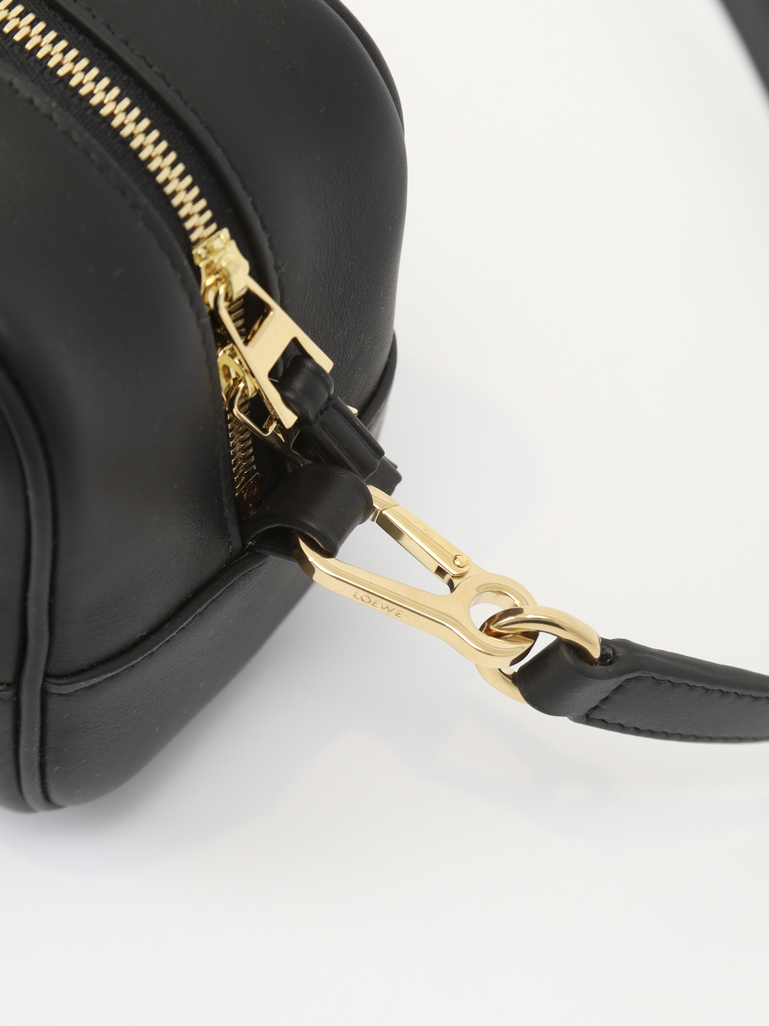 Loewe Amazona  6