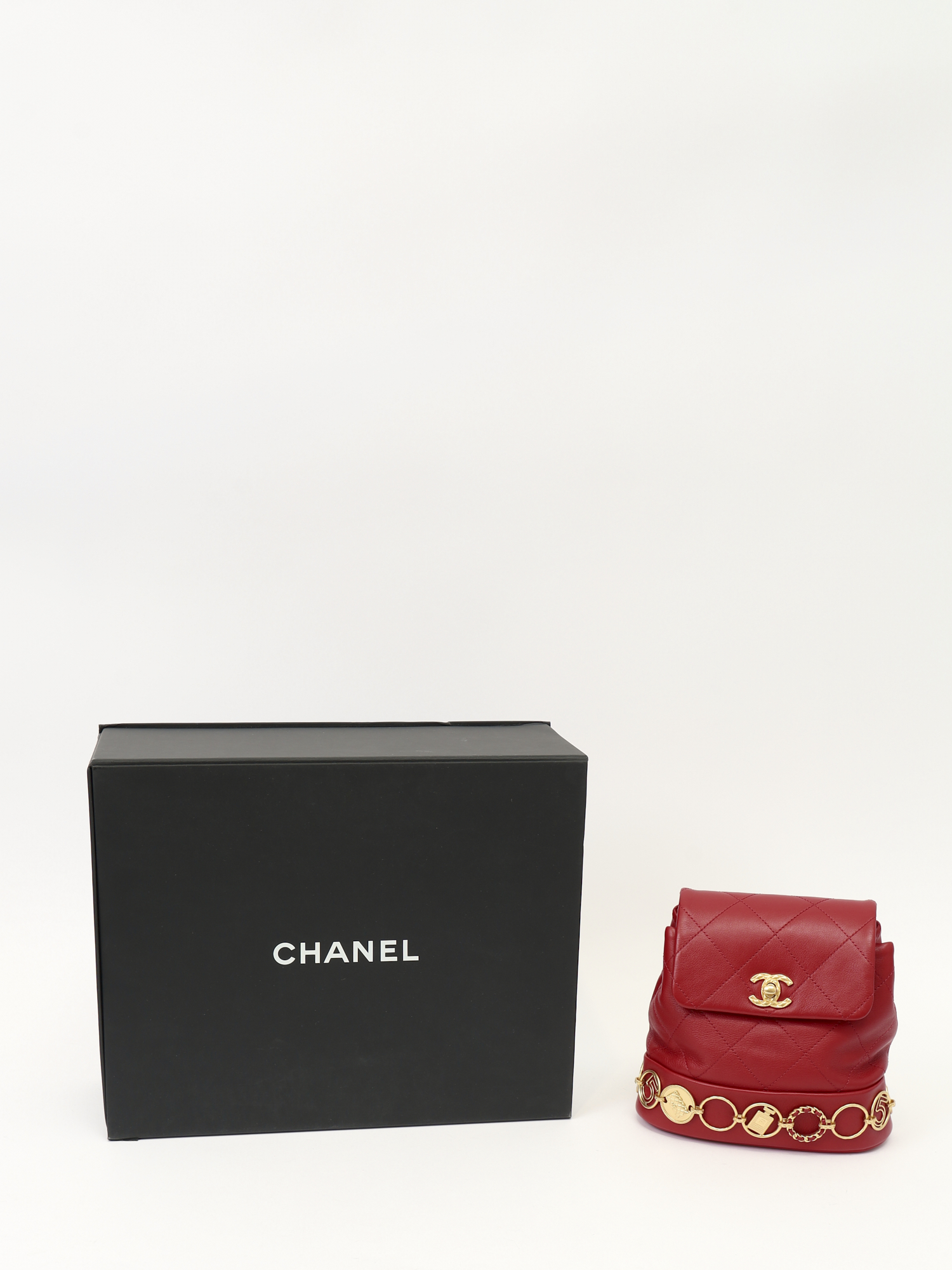 Chanel Leather Bag 4