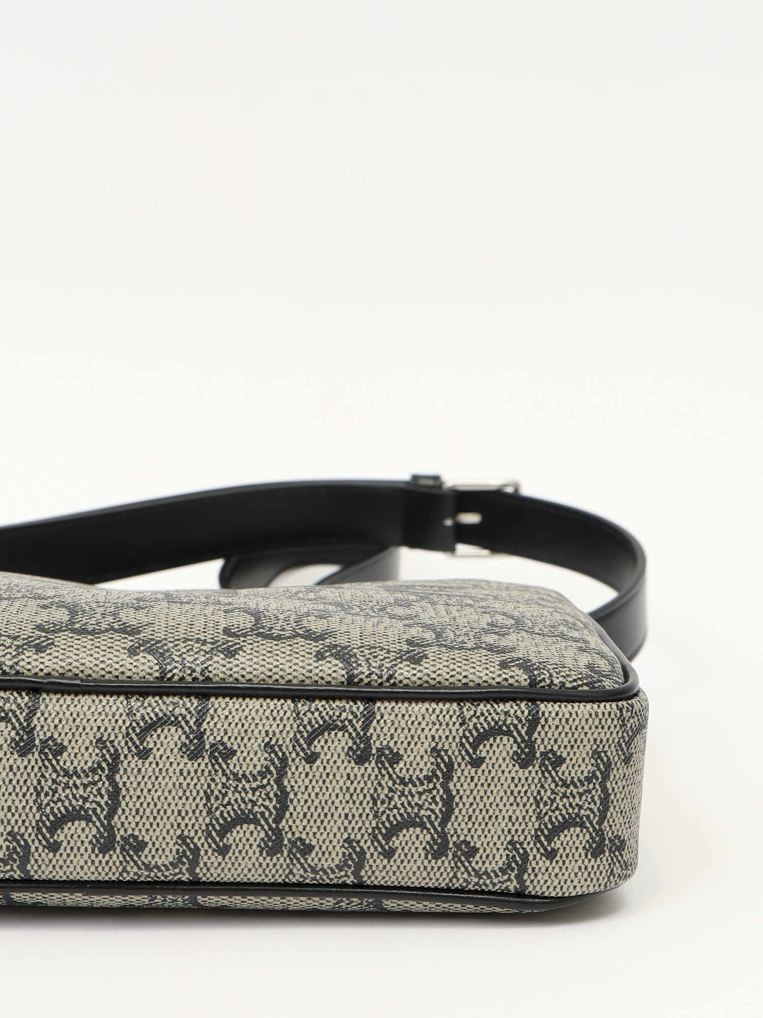 Celine Triomphe Canvas 9