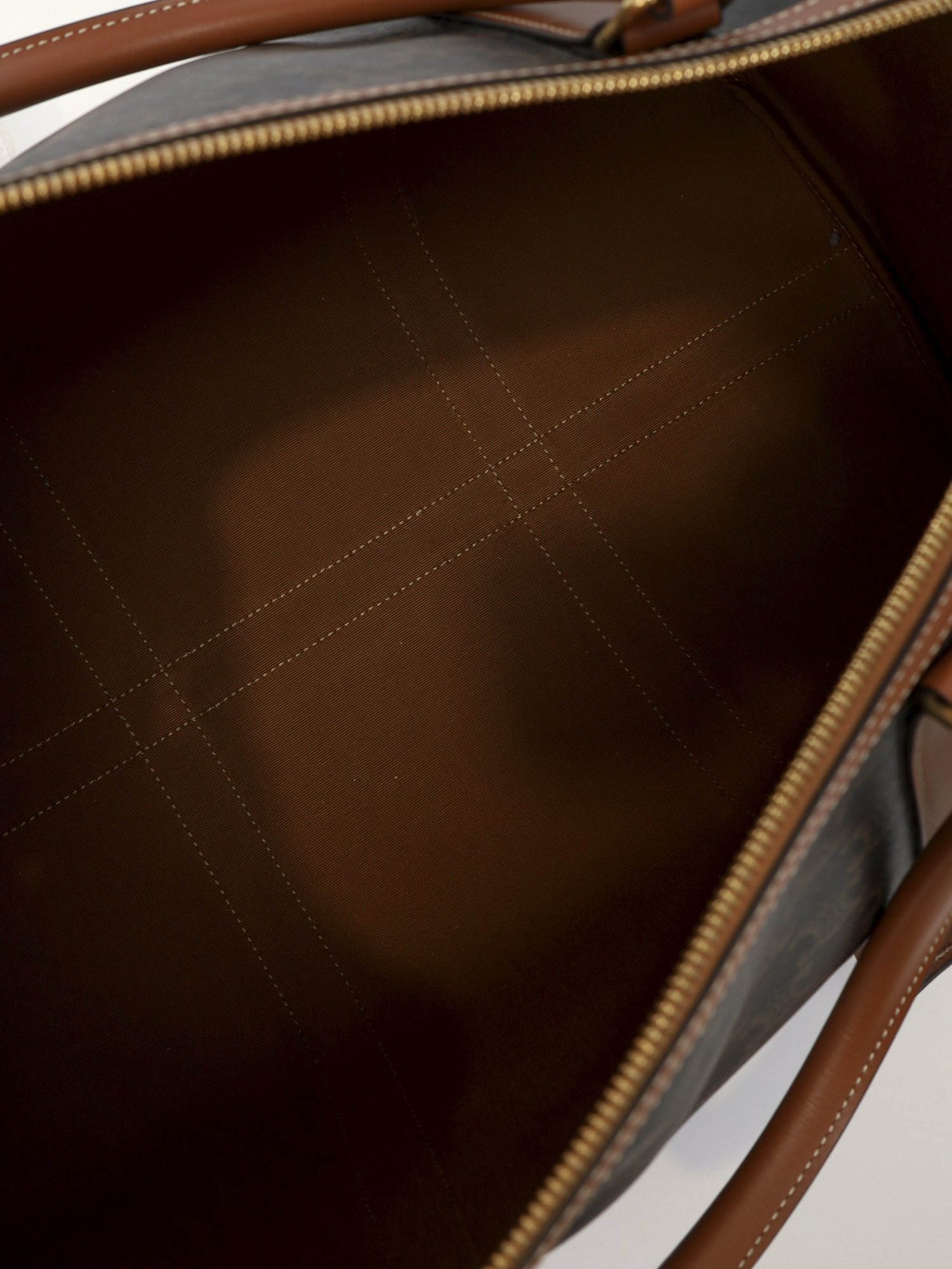 Celine Triomphe Canvas 12