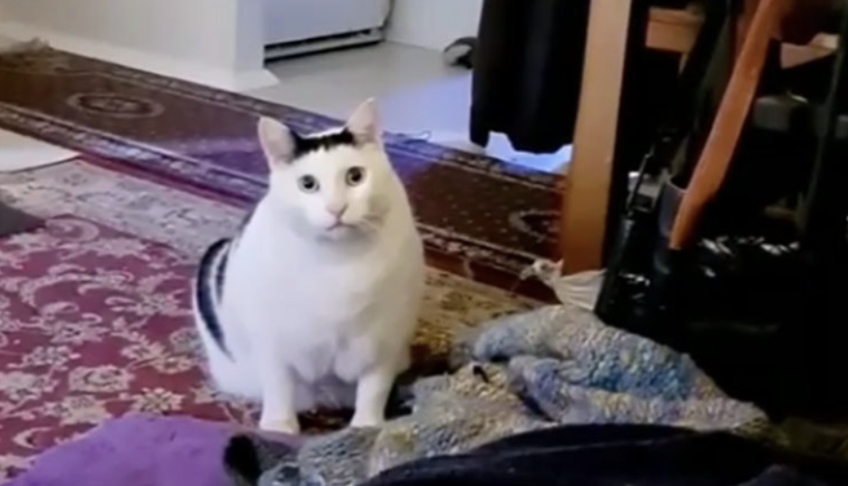 SMM-менеджер