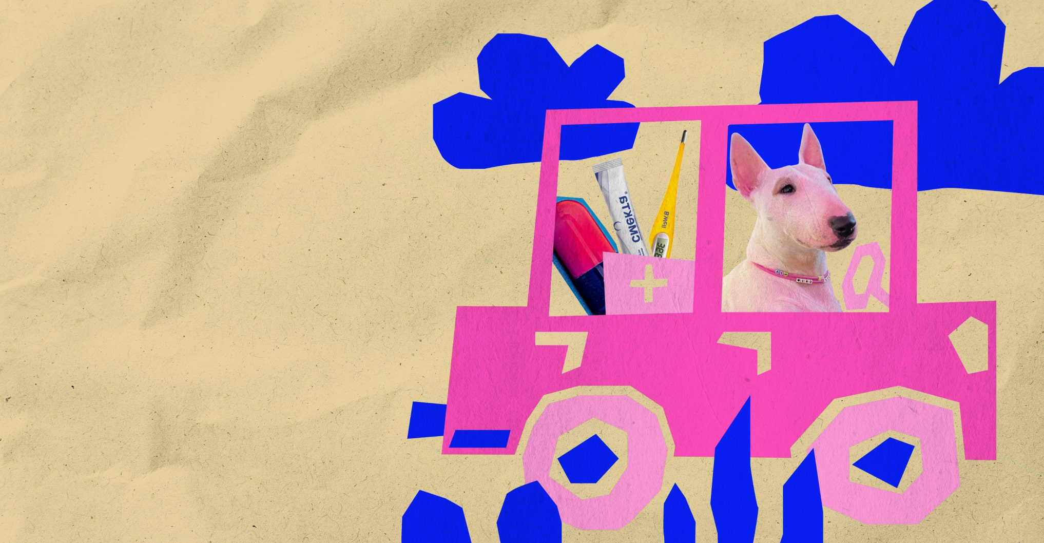 Ревью коллажей участников и участниц