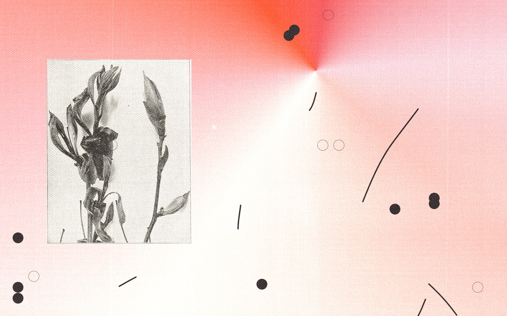 Как создать концепцию